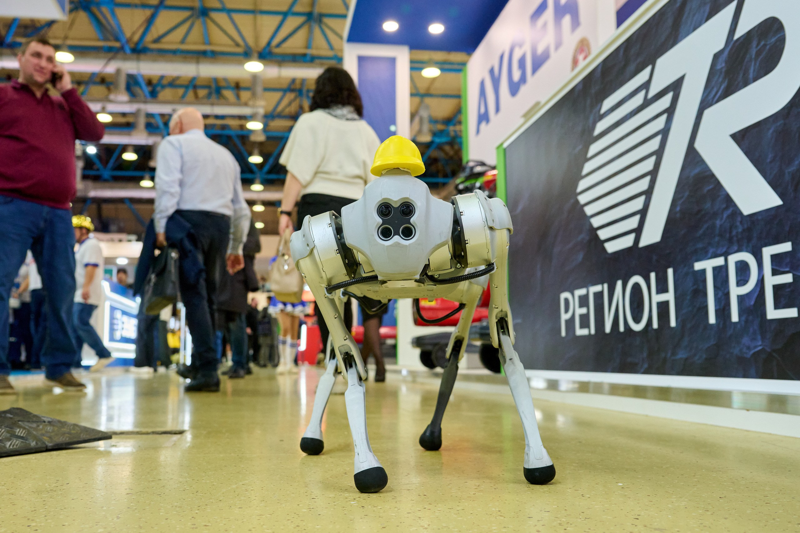 Выставки. Foto-Zuev фотография как искусство