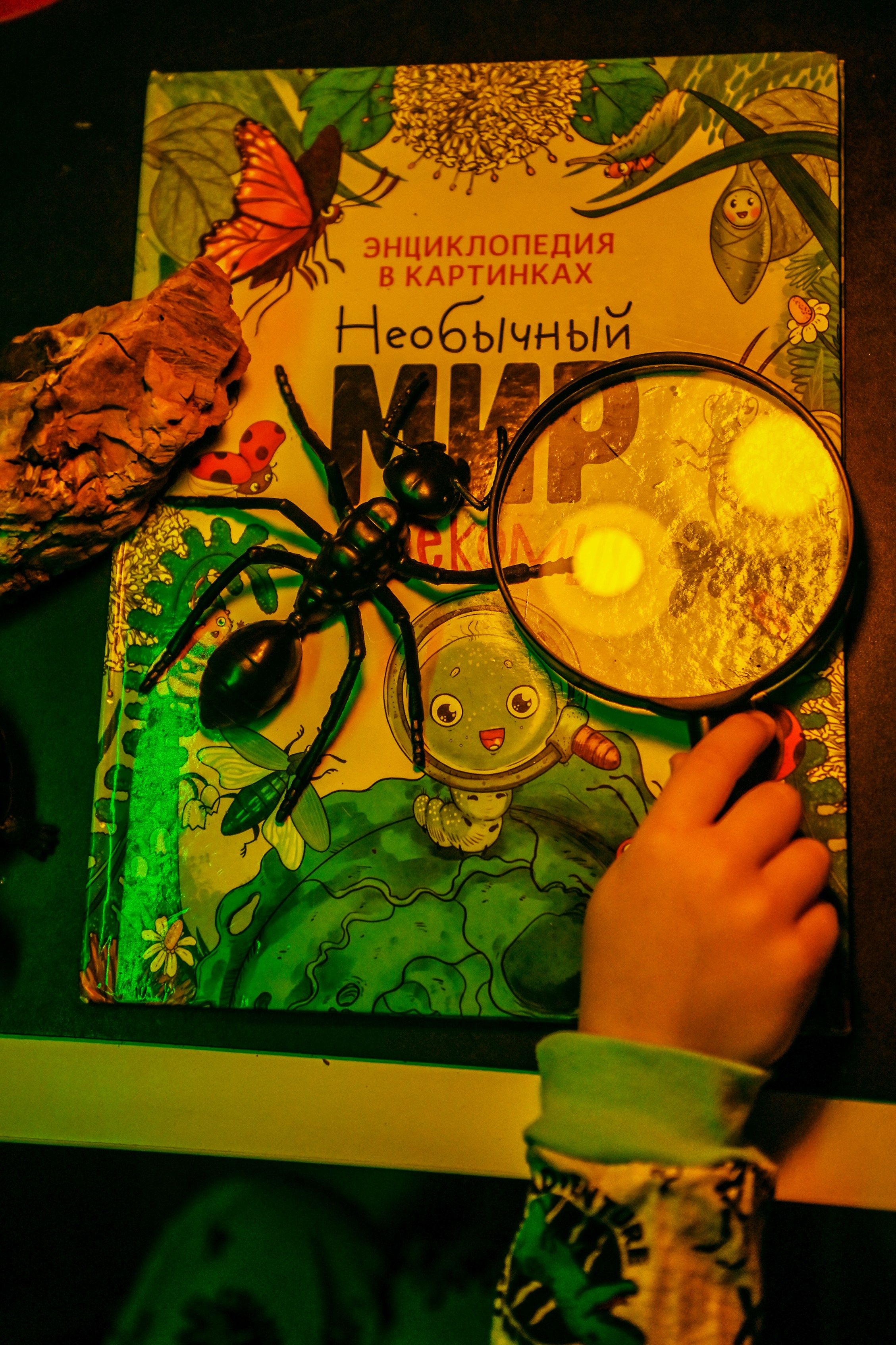 Детская домашняя кабинет натуралиста. Свадебный, семейный, детский, контент фотограф в Омске Максим Ильин