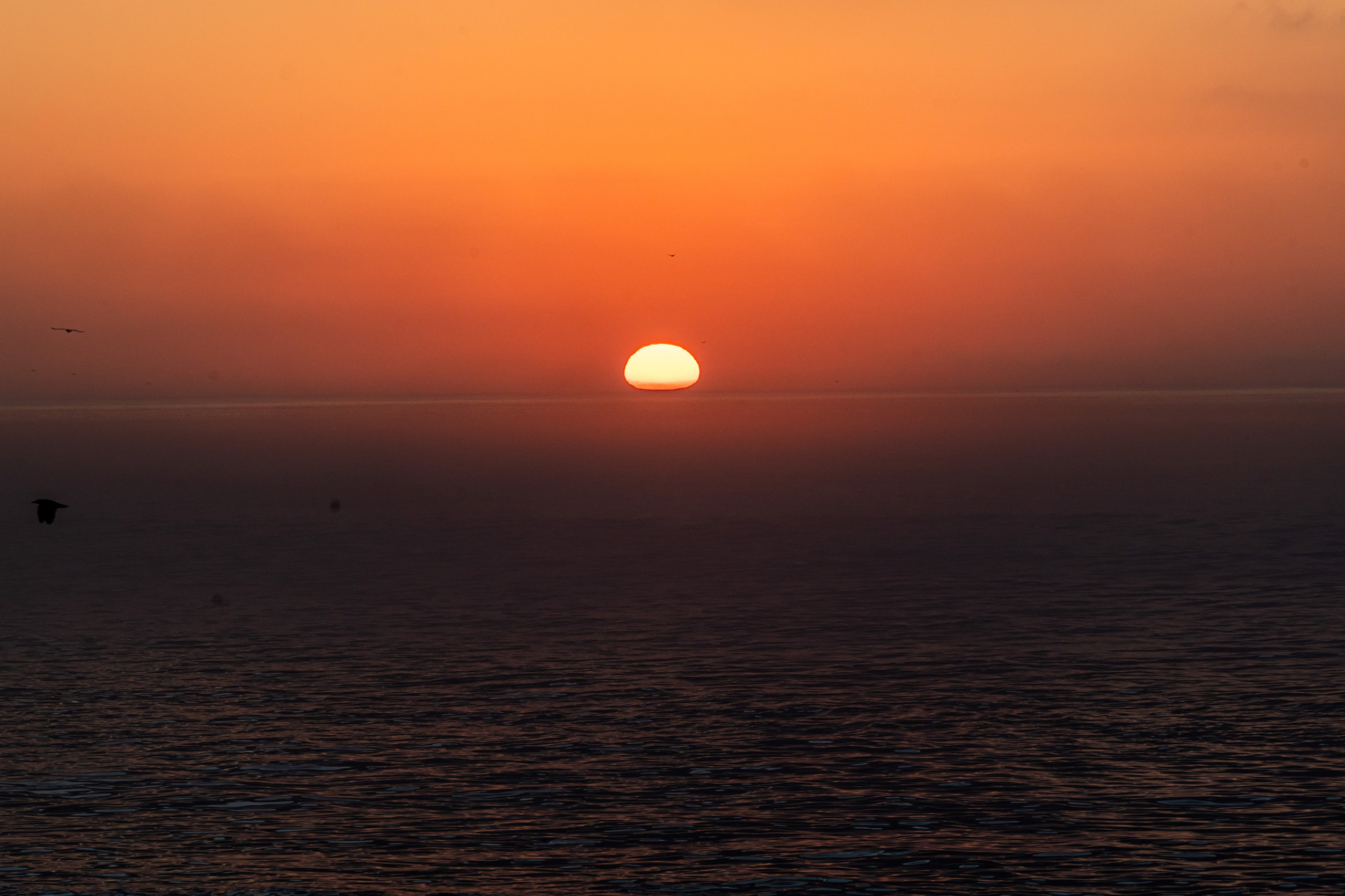 Сахалин 2025. Творческие сьемки