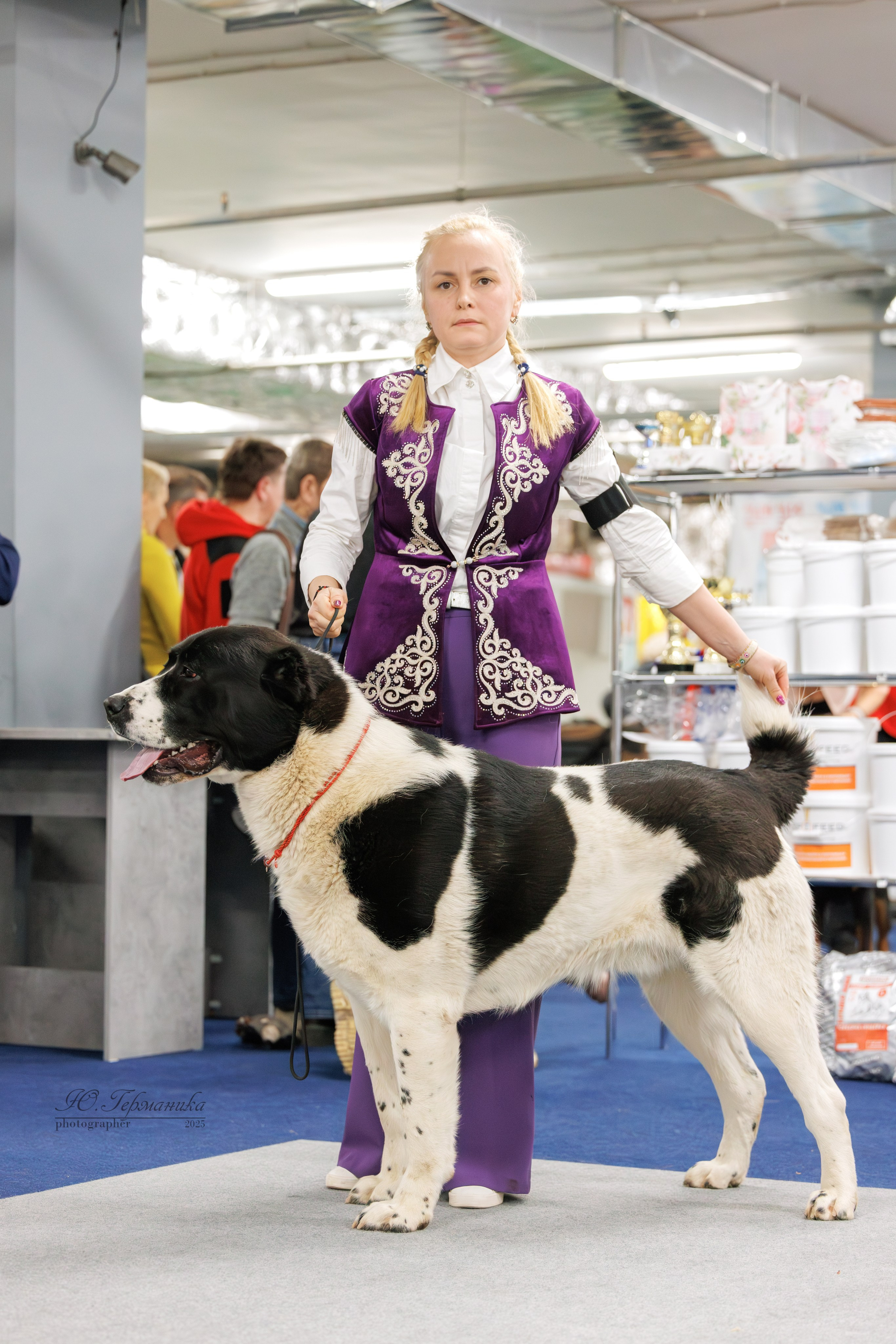 Сфера и Крокус 8,9,16 и 30.03.2025. Фотограф-анималист Юлия Германика