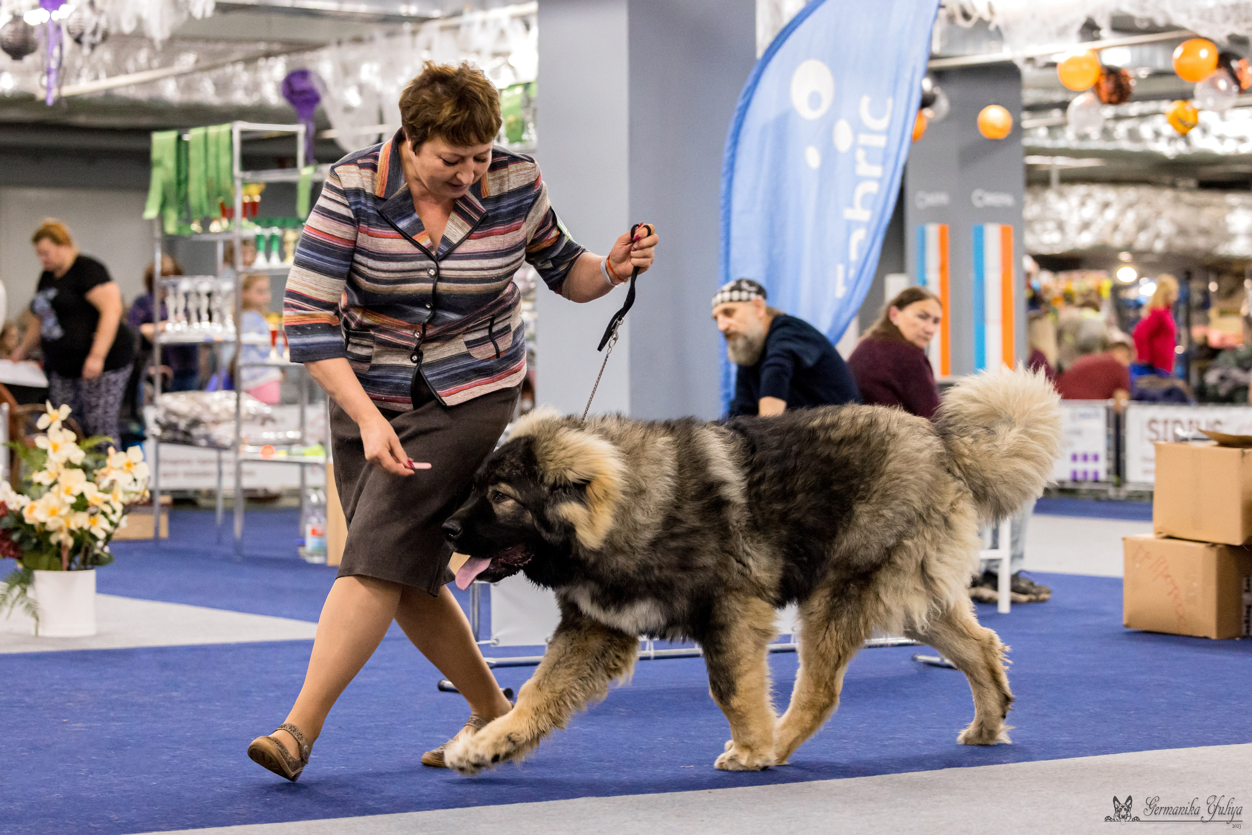 Сфера 29.10,Крокус 4.11,Сфера 12.11.2023. Фотограф-анималист Юлия Германика