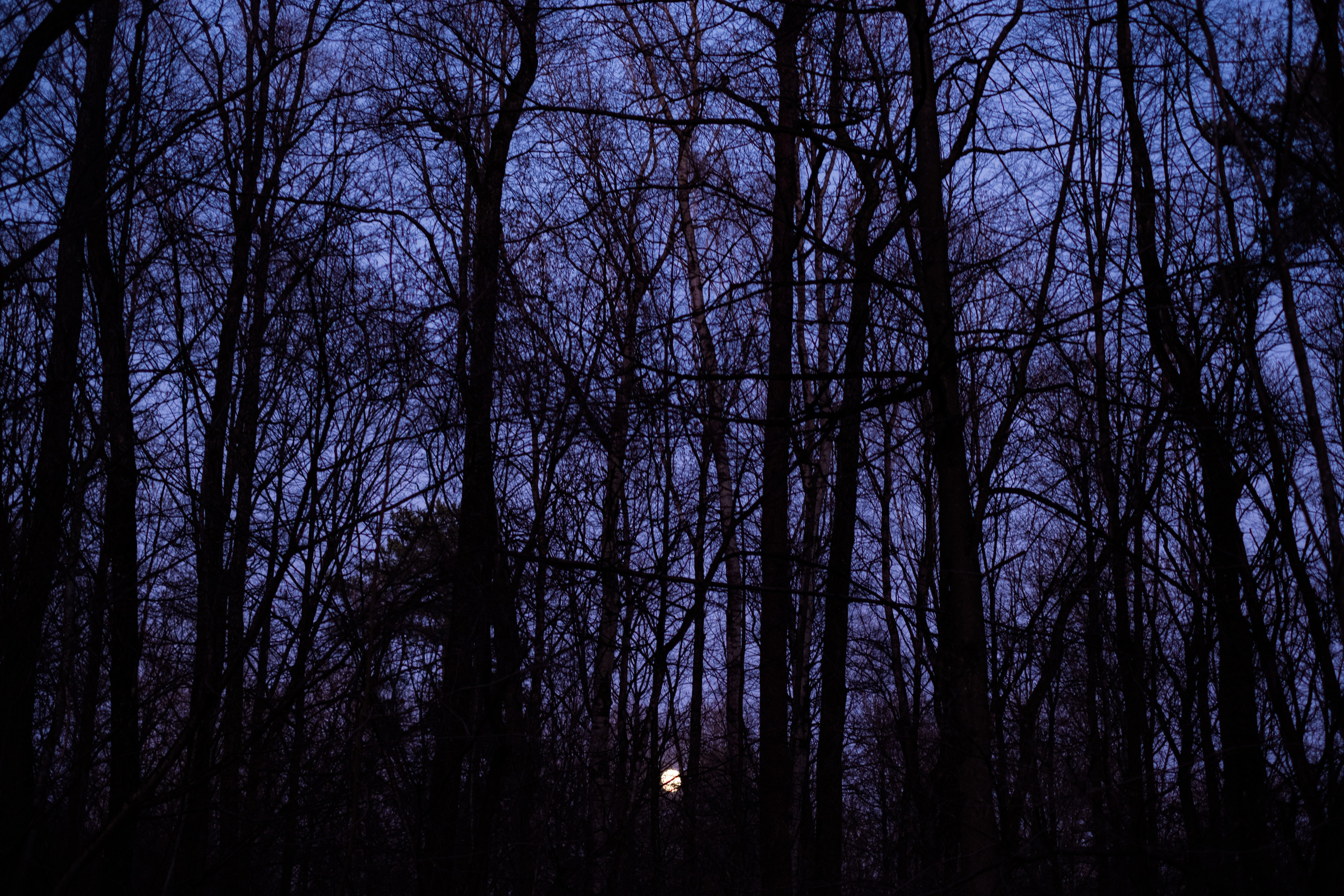 В поисках тишины. Алёна Кочеткова | фотограф и преподаватель фотографии