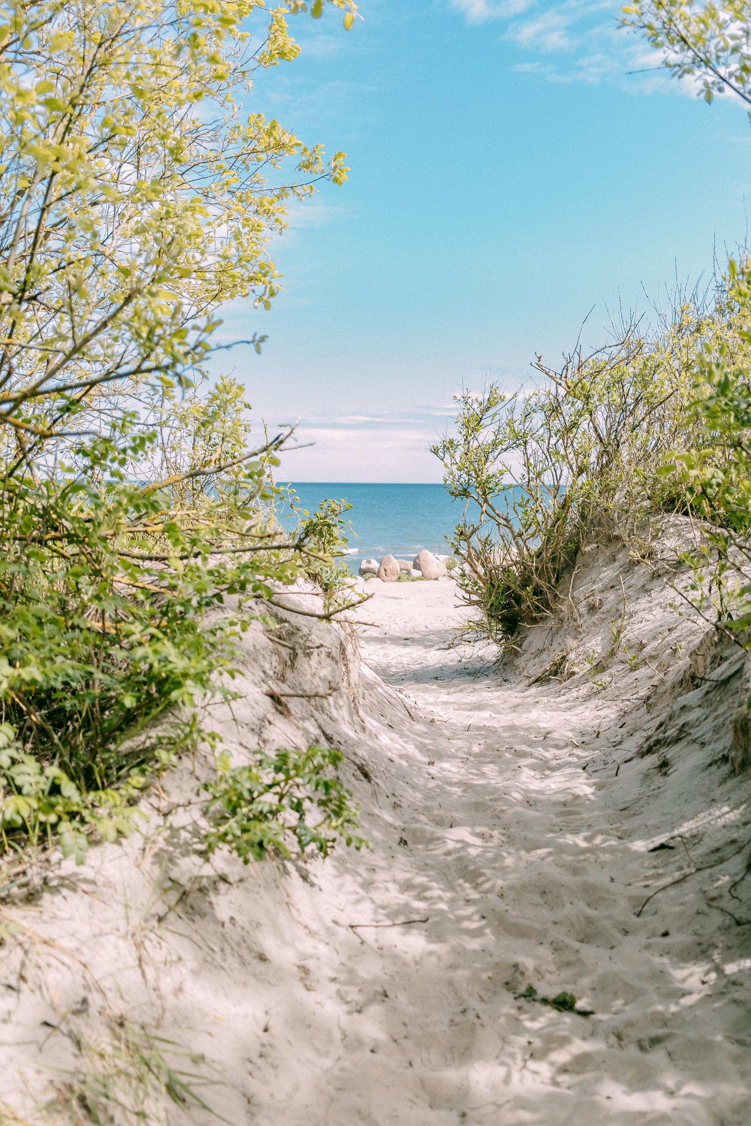 Зеленоградск. Аня Степанова