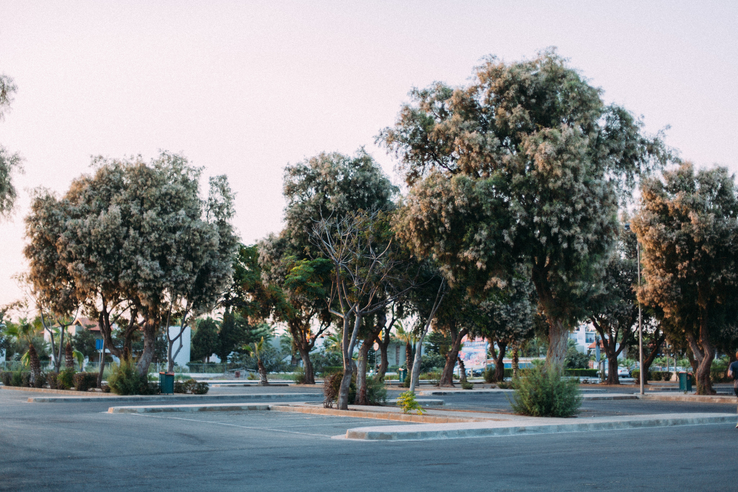 Кипр. Аня Степанова