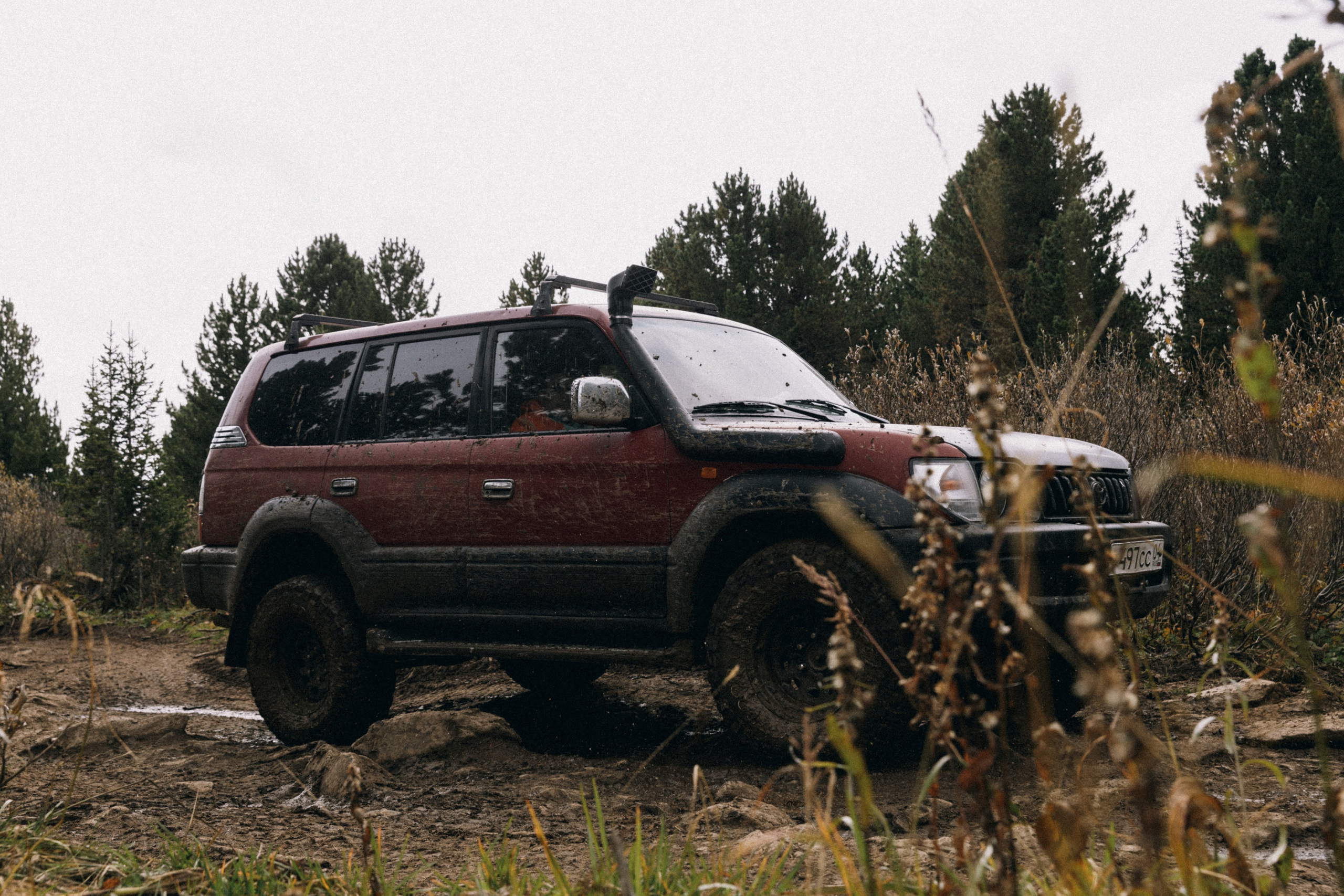 Алтай, природа и эстетика. Александр Чернин. Семейный и событийный фотограф