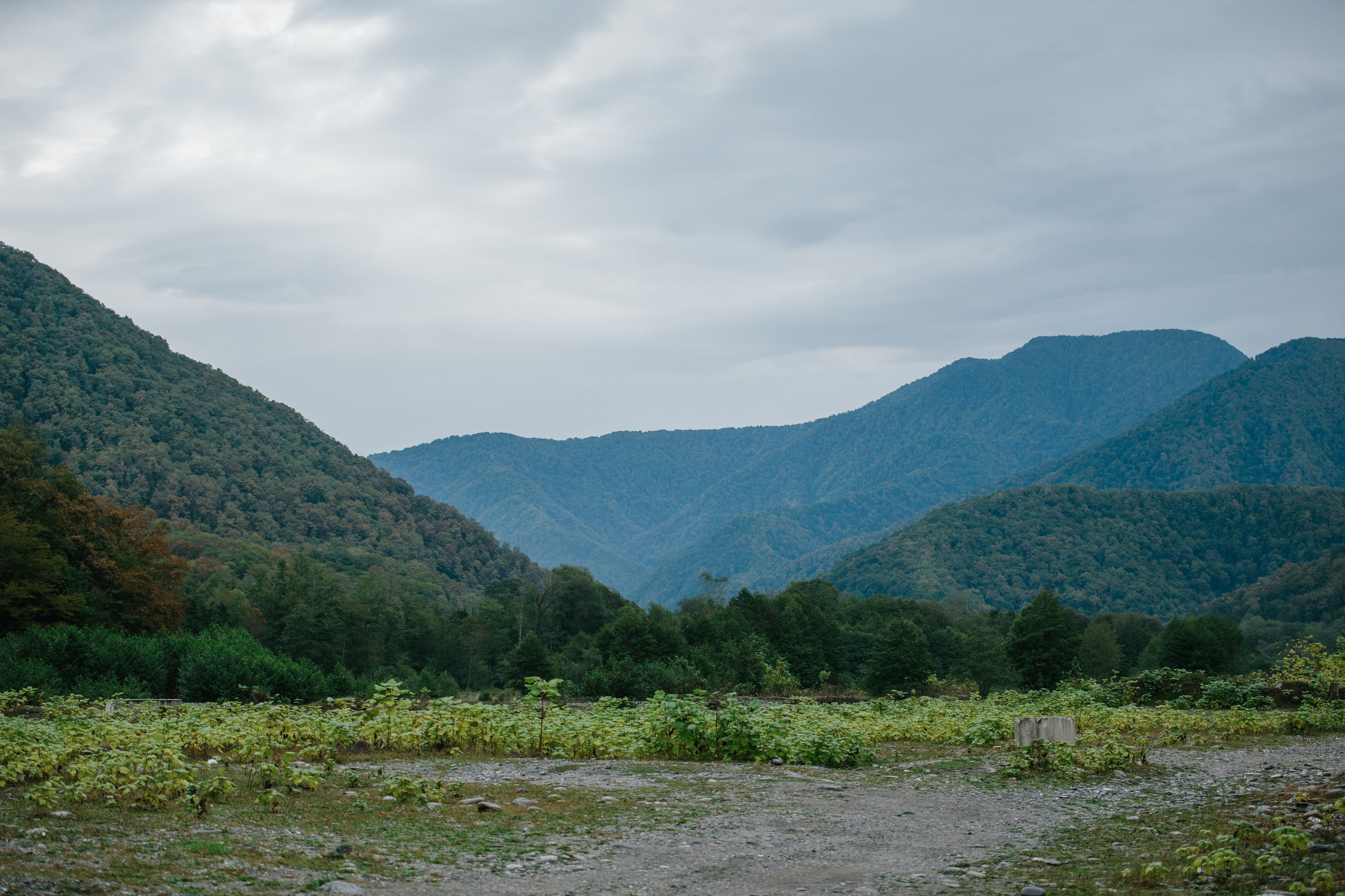 Оштенский Кордон. Семейный фотограф в Белгороде