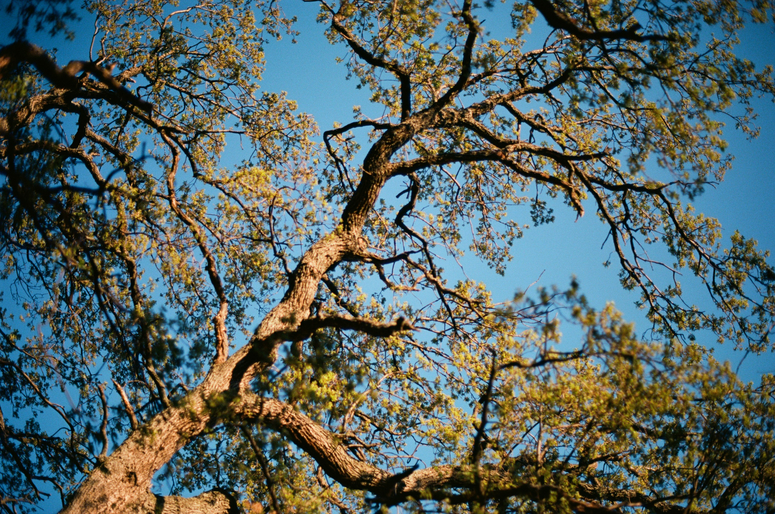 Follow you // ukraine, crimea IV. EVER EXPOSED
