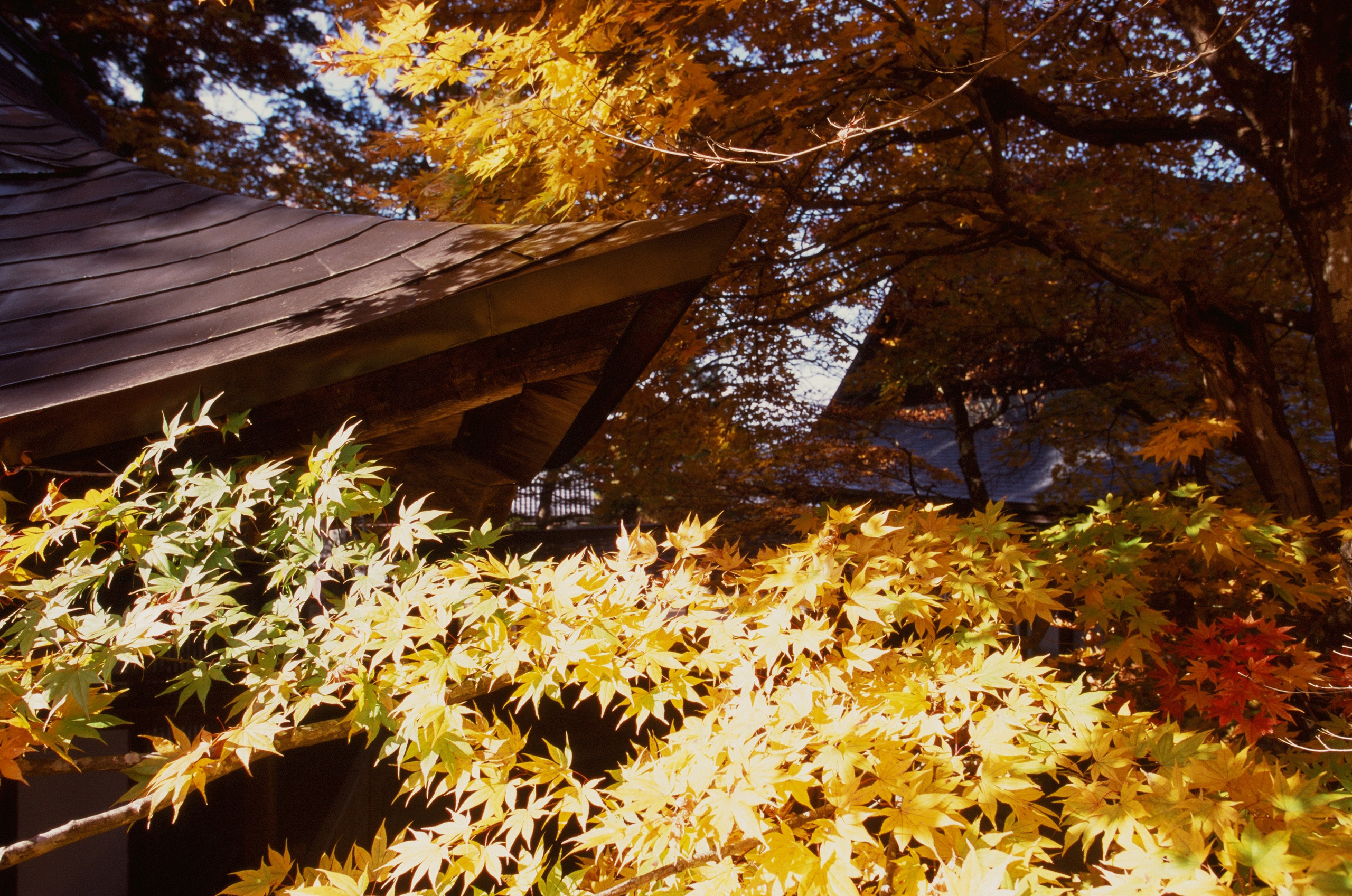 Out of noise // japan, takayama V. EVER EXPOSED