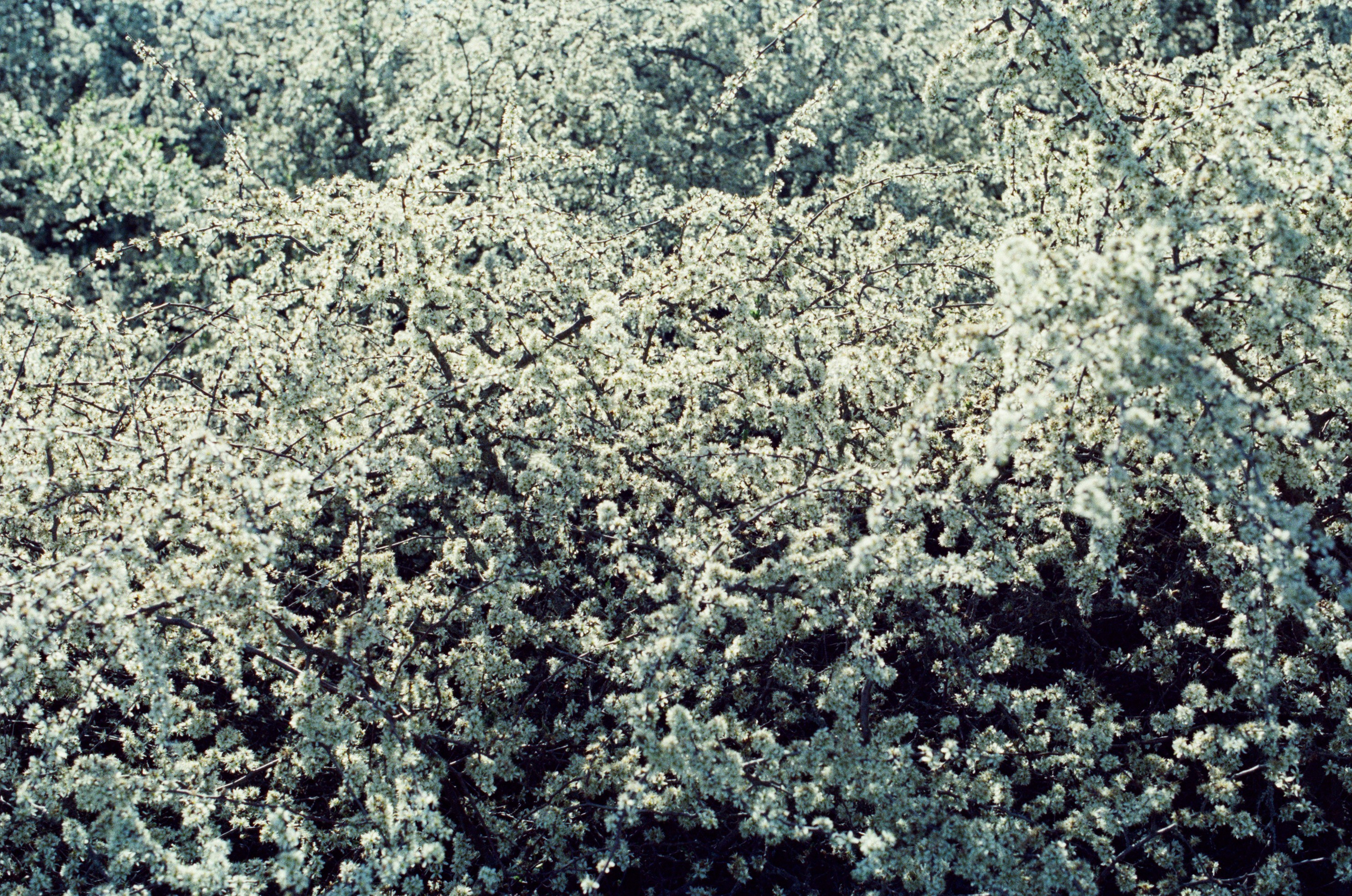 Some kind of madness // ukraine, crimea III. EVER EXPOSED