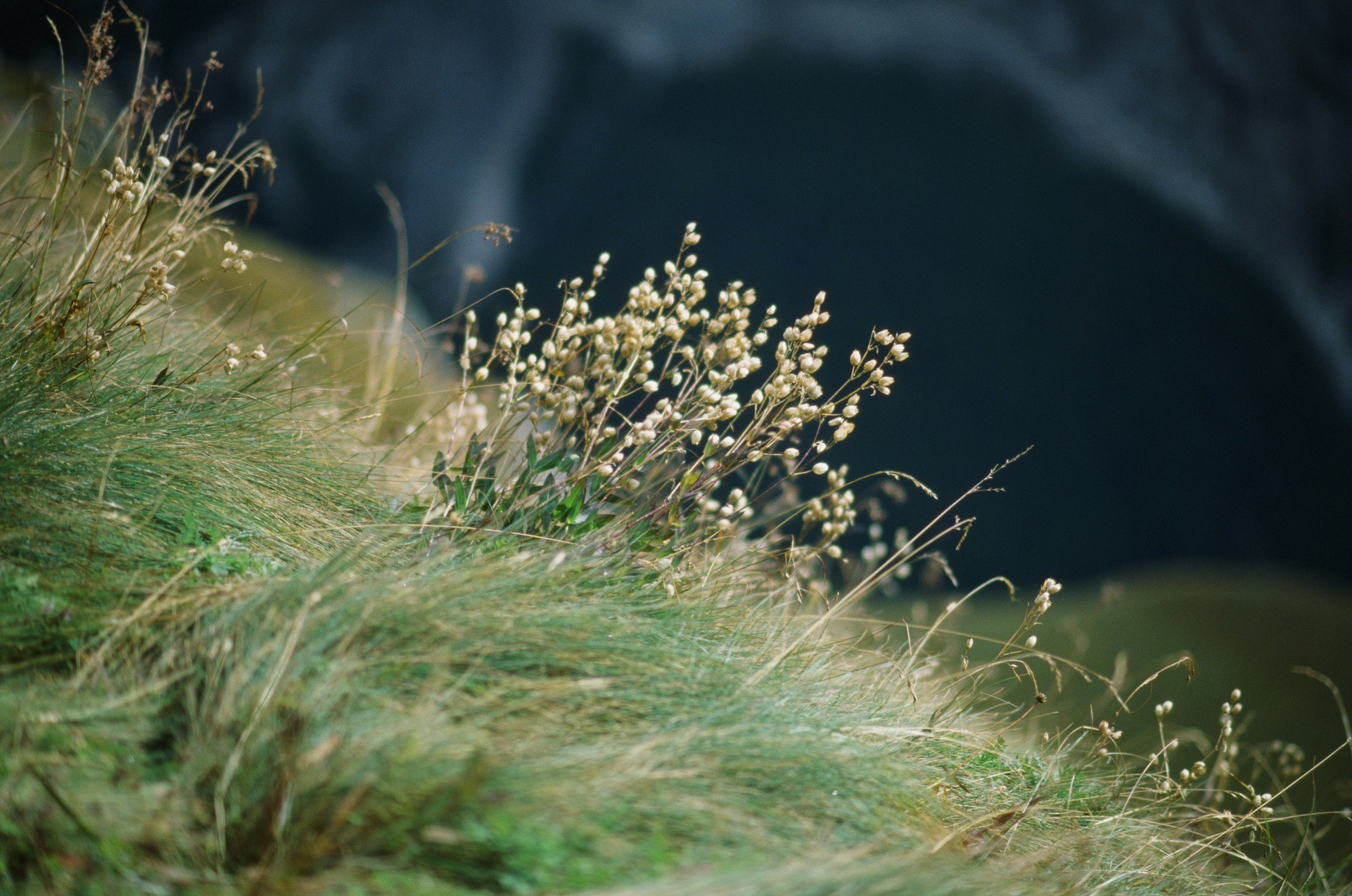 Wasted // italy, dolomites III. EVER EXPOSED