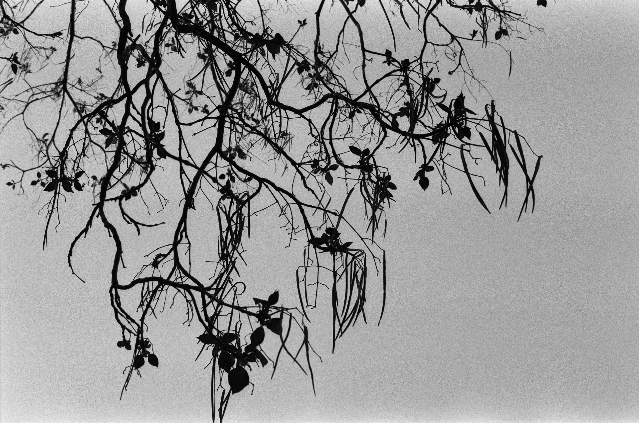 Oblomki chuvstv // ukraine, crimea III. EVER EXPOSED