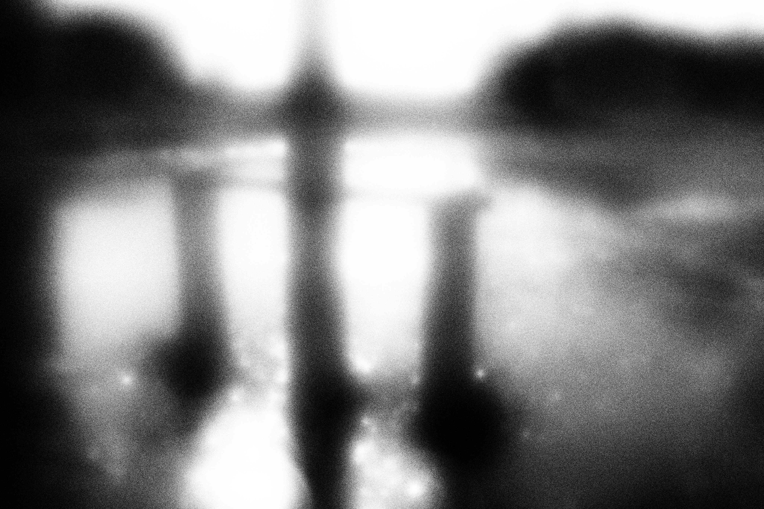 «Видеть. Чувствовать. Сохранять»