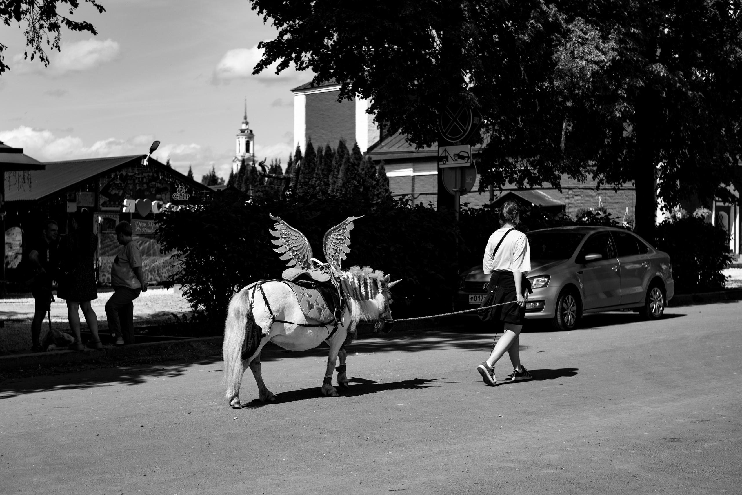 Суздаль 2024. Легкая фотография