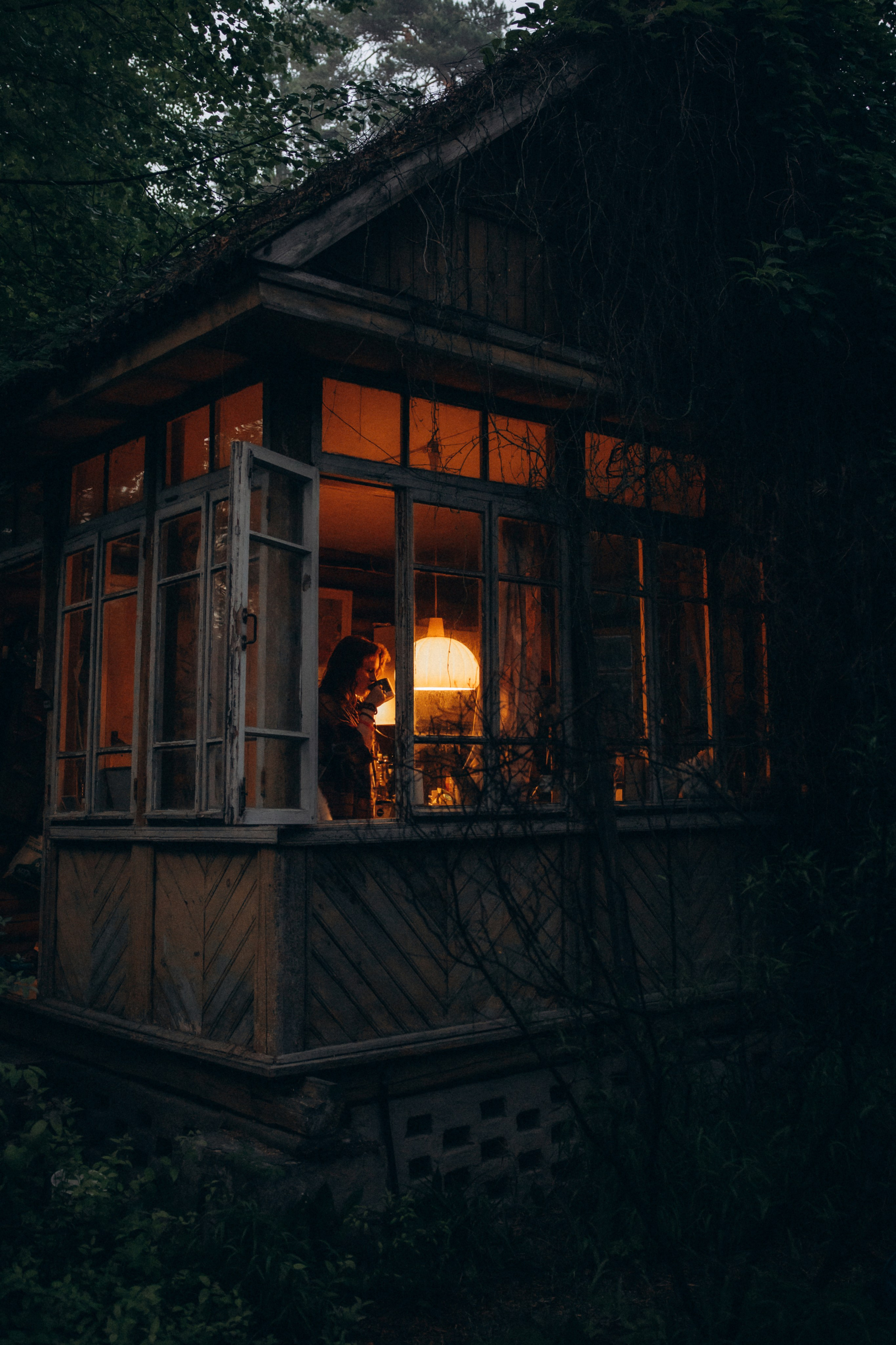 Настасья и кот Шалфей. Фотограф анималист в Казани Алина Сулейманова. Фотограф животных