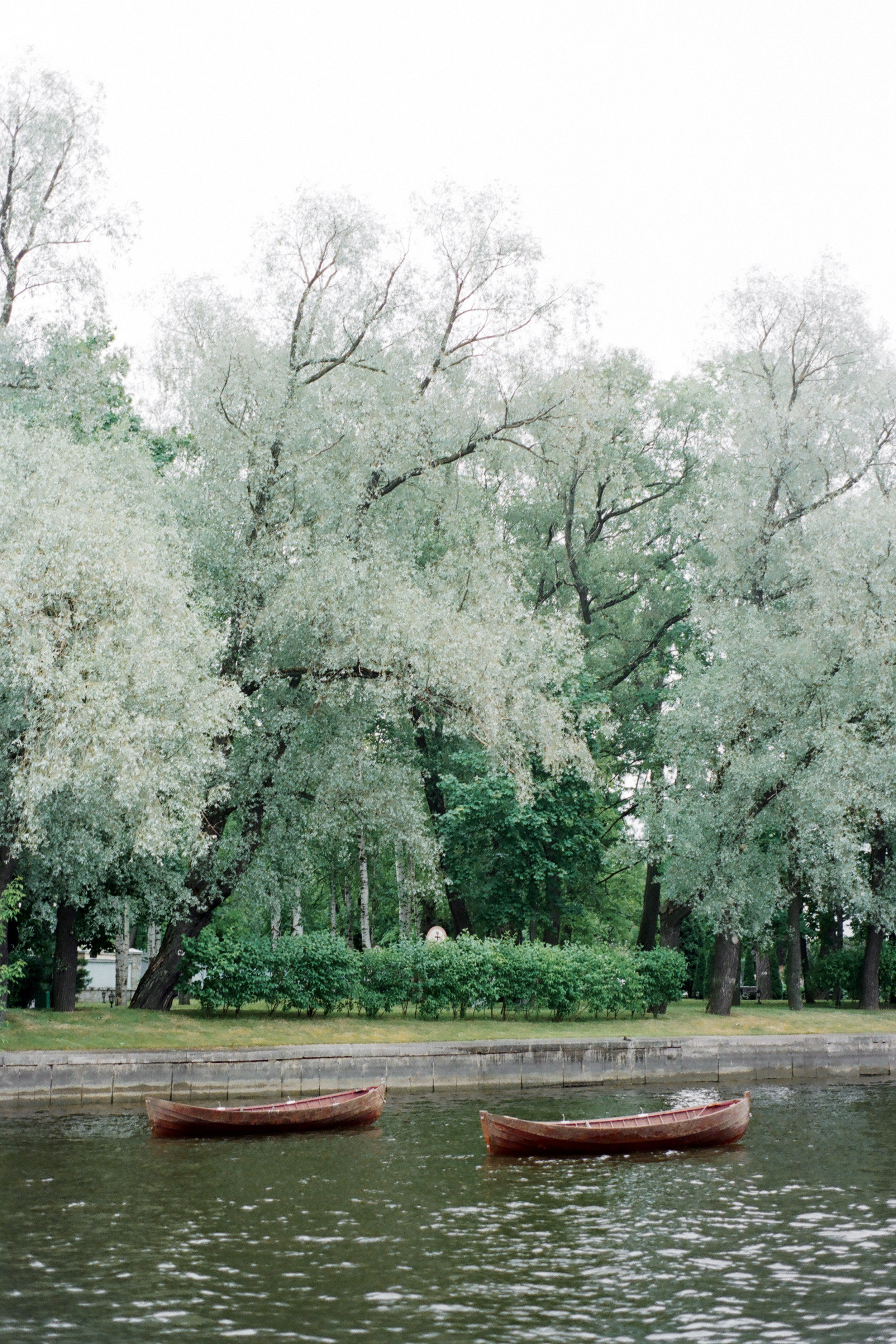 Свадьба в Санкт-Петербурге. Изящная фотография | Ксения Милушкина