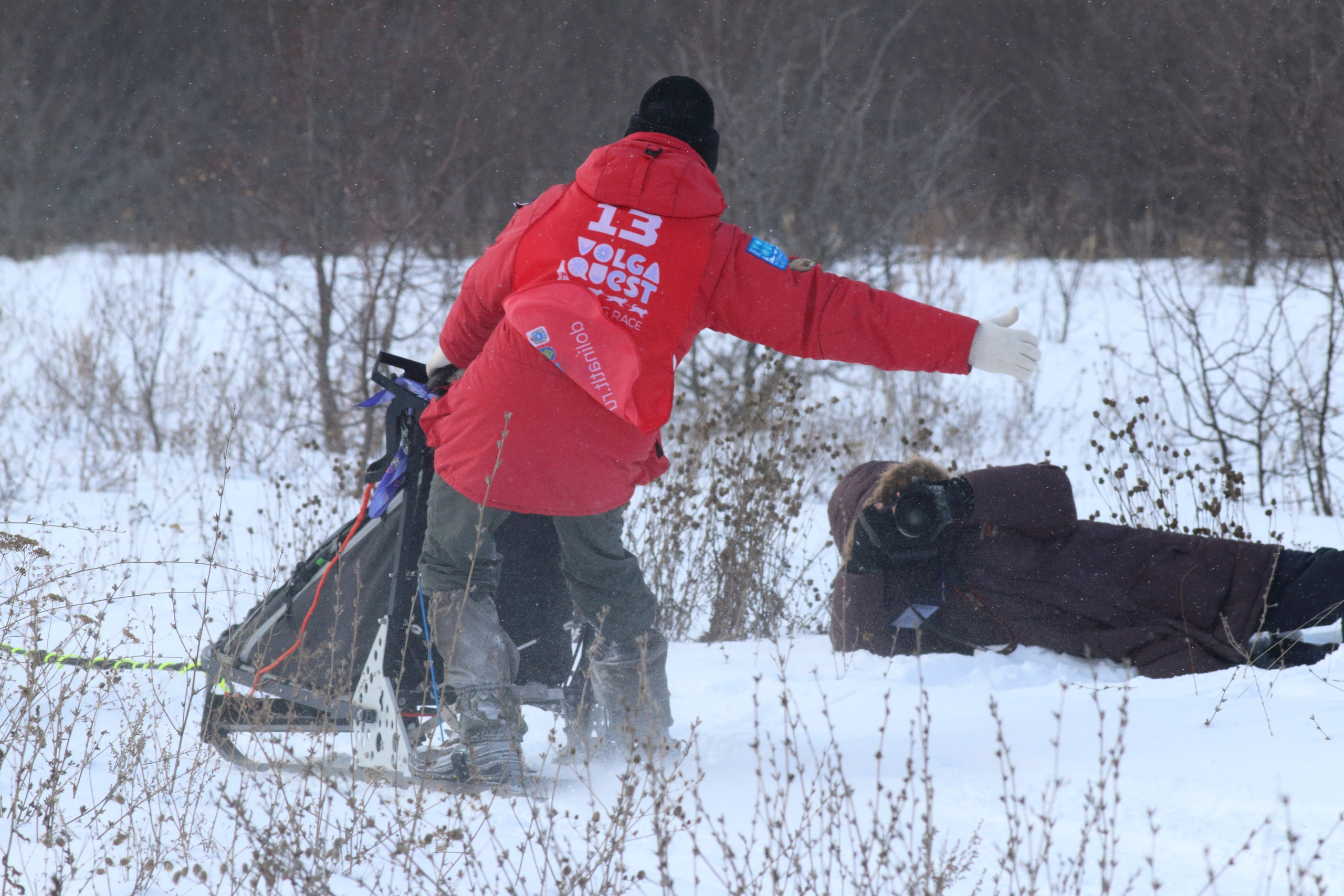 08.02.2020 Ширяево. Гонка на собаках. Фотообъединение Самарского областного отделения Союза журналистов России