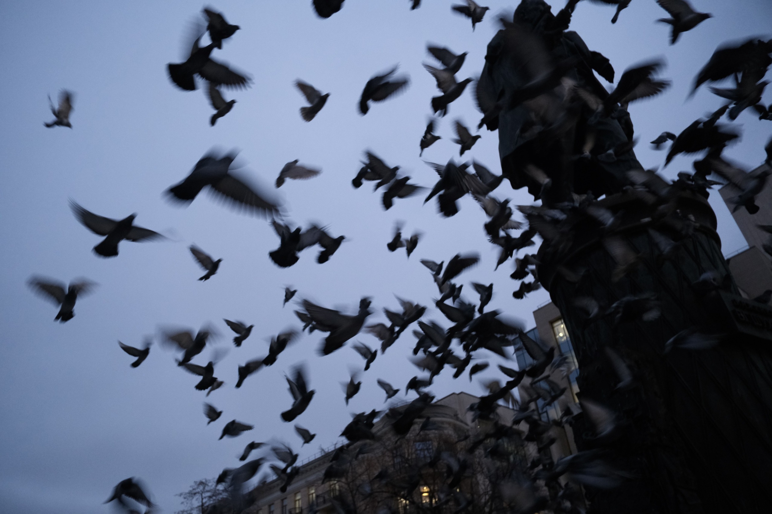 Вечерний город. Улица, люди, жизнь…