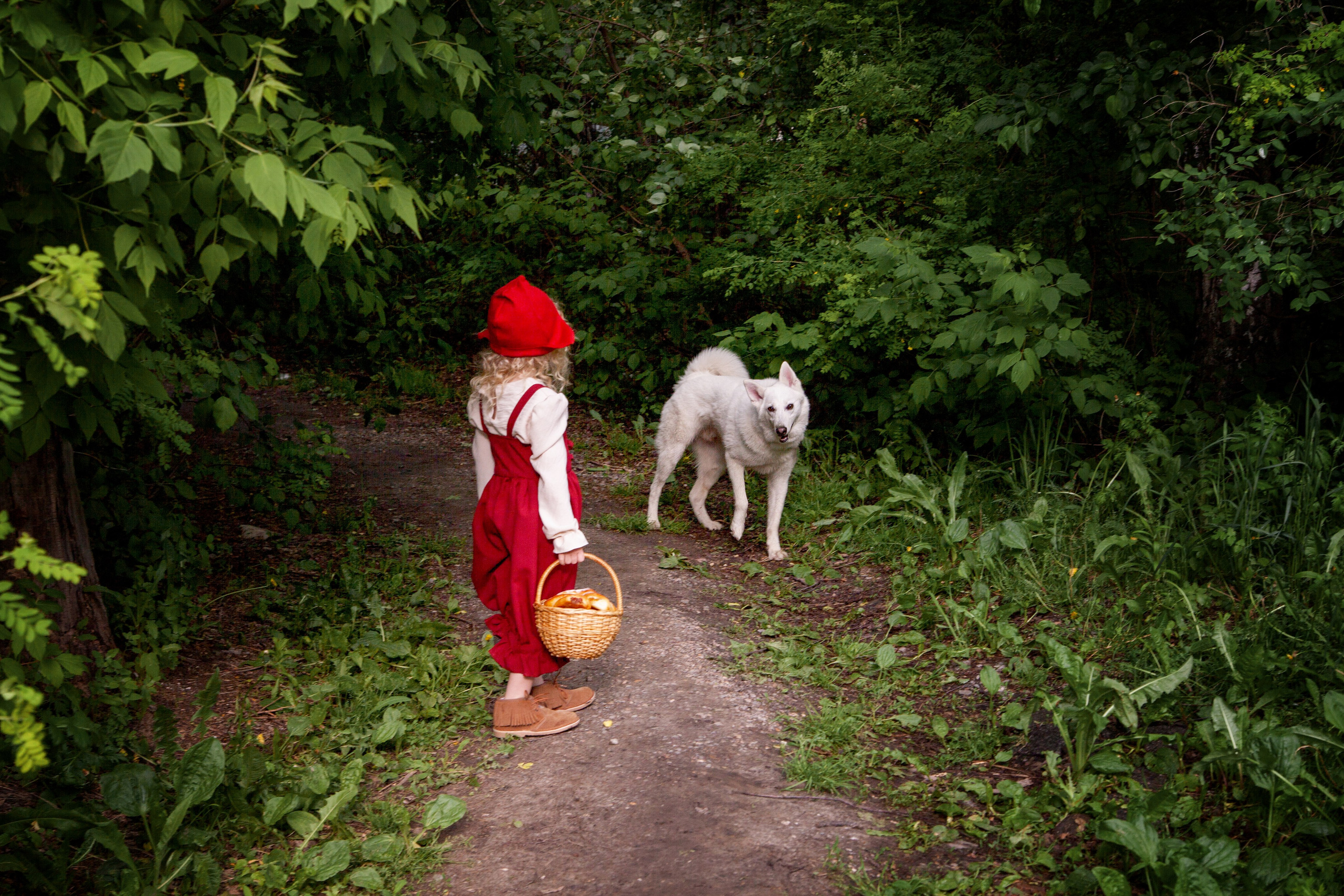 Красная шапочка. Детский и семейный фотограф в Бердске и Новосибирске Дарья Гребнева