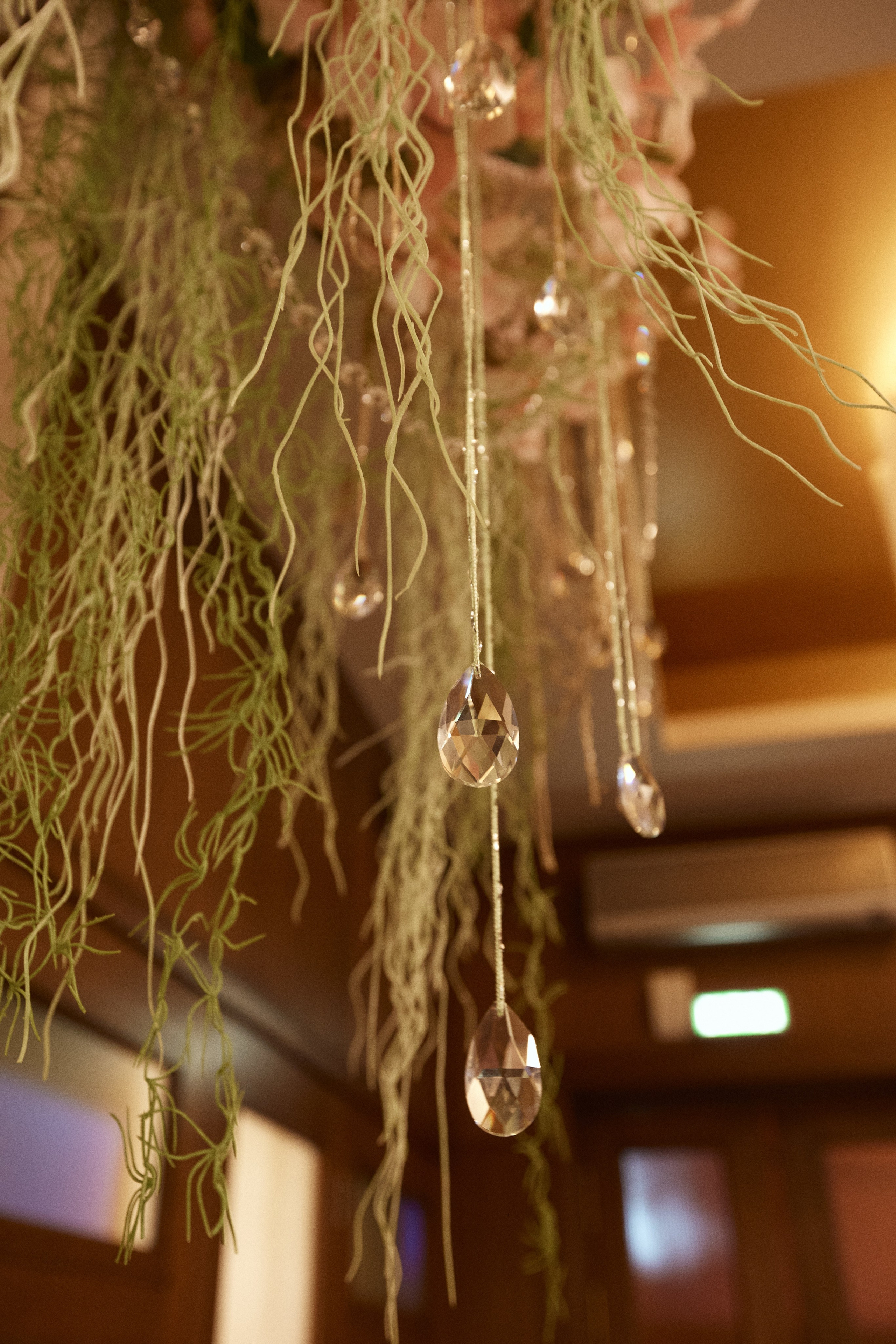 AMUR — 8 МАРТА. СВОИ. ФОТООТЧЕТЫ-СОБЫТИЯ-МЕСТА