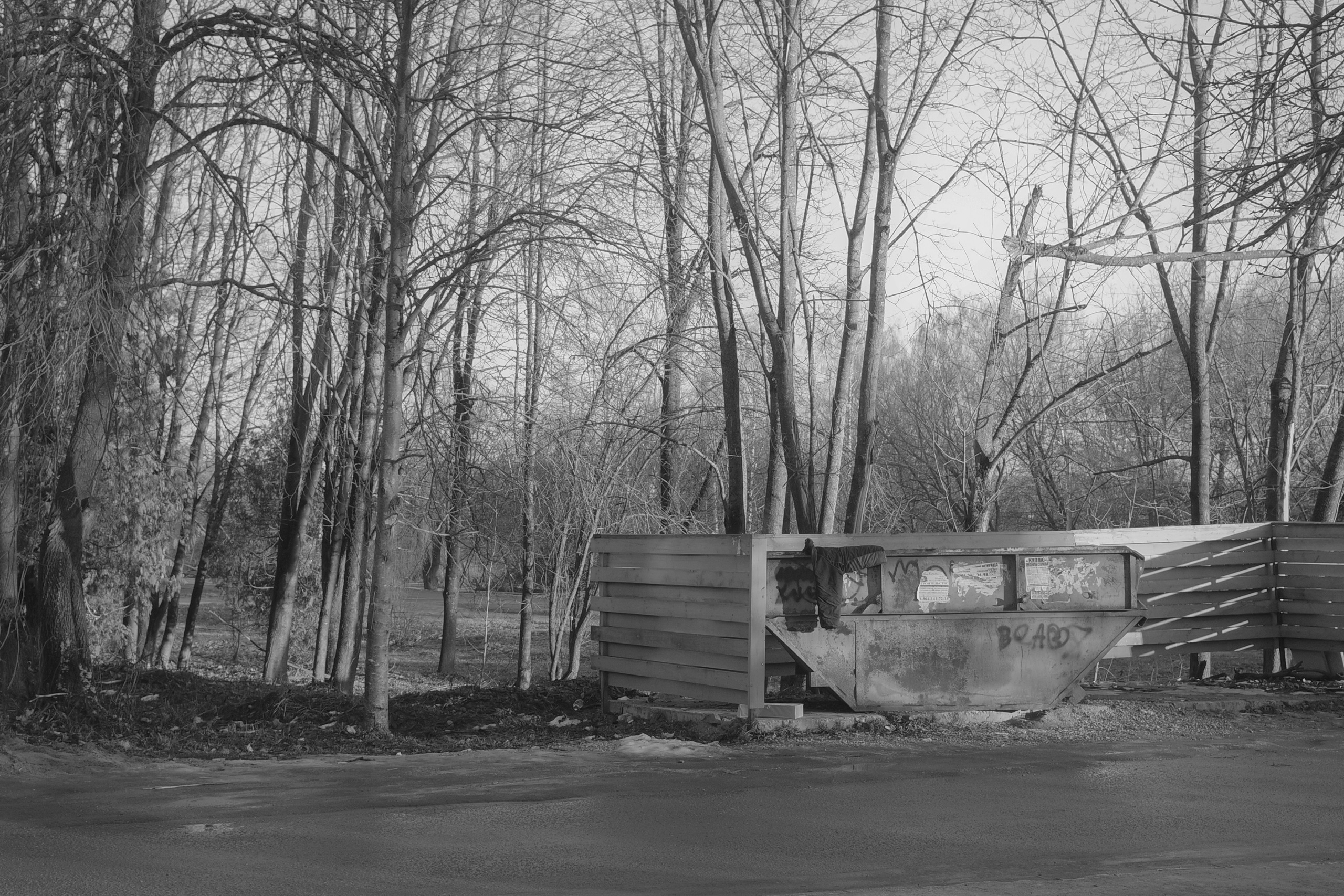 — 2025. Фотограф Злата Спицына