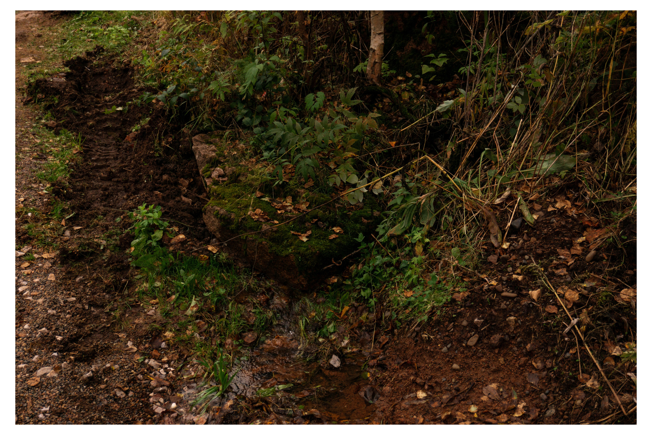 28.08.2025 | Красноярск. Kuznetsov | Фотограф в Красноярске