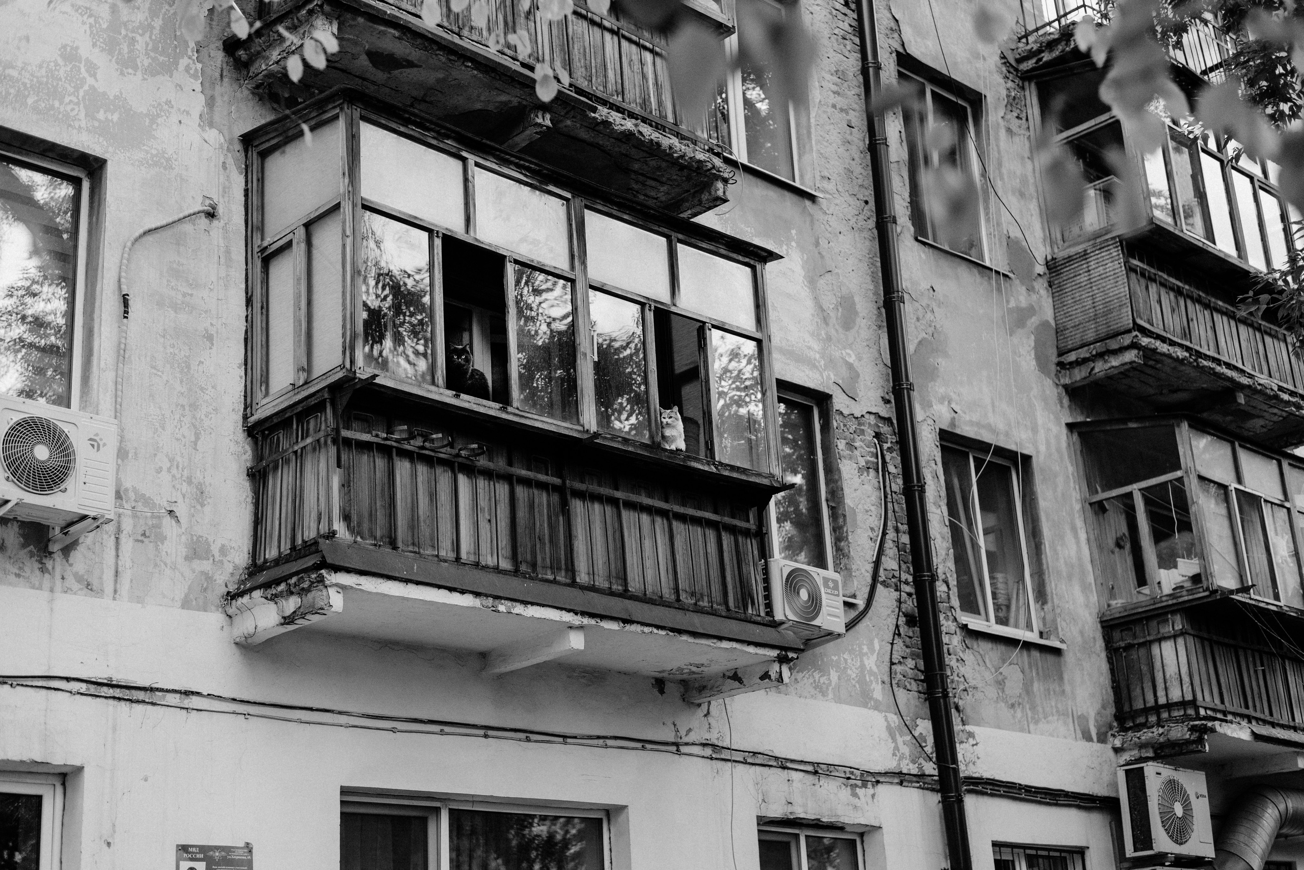 Юра. Фотограф Дарья Мустафина, Тюмень