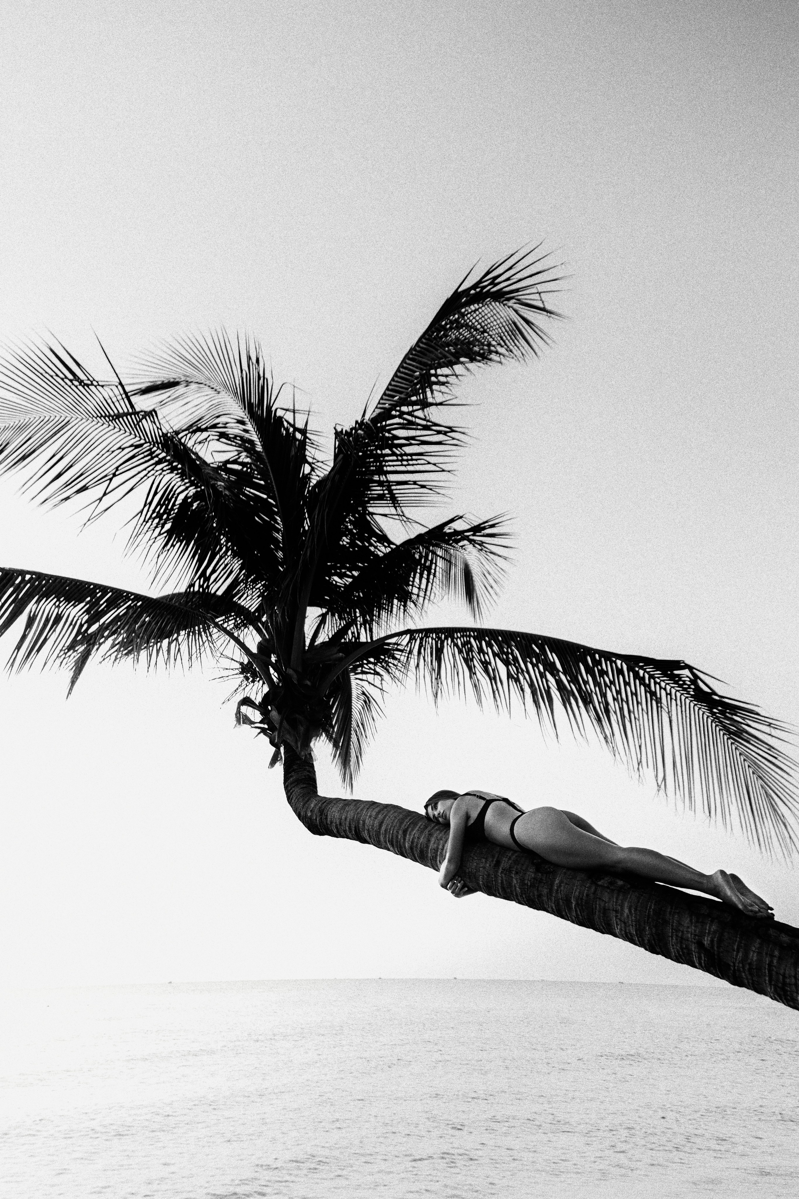 Фото портфолио. Камышная Юлия-фотограф, видеограф на острове Фукуок