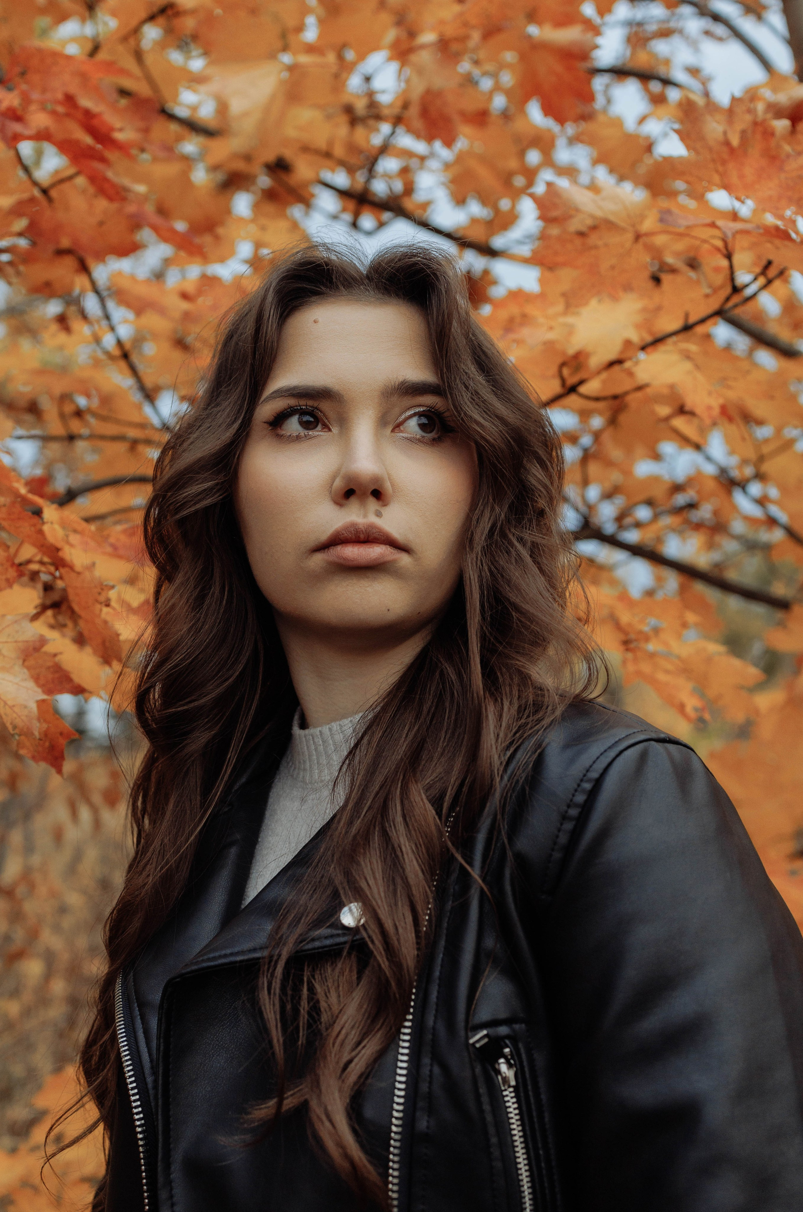 Осенняя прогулка