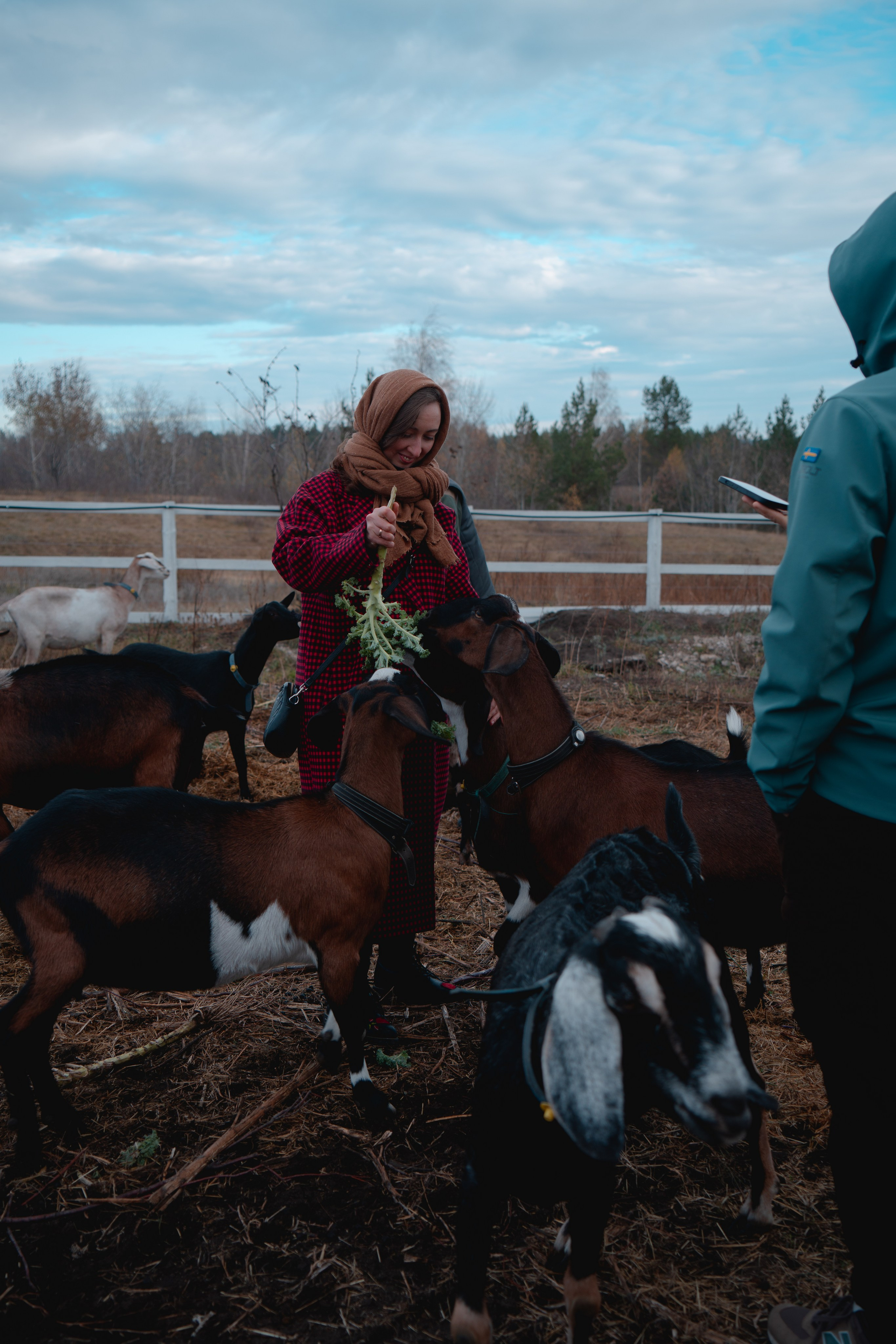 Ферма Основание. Фотограф г. Тольятти