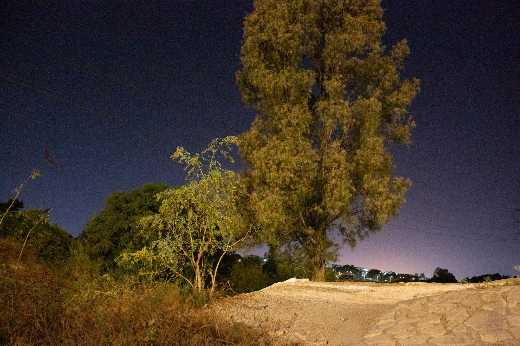 Фотограф Ася Бобрицкая. Художница Маргарита Гусак