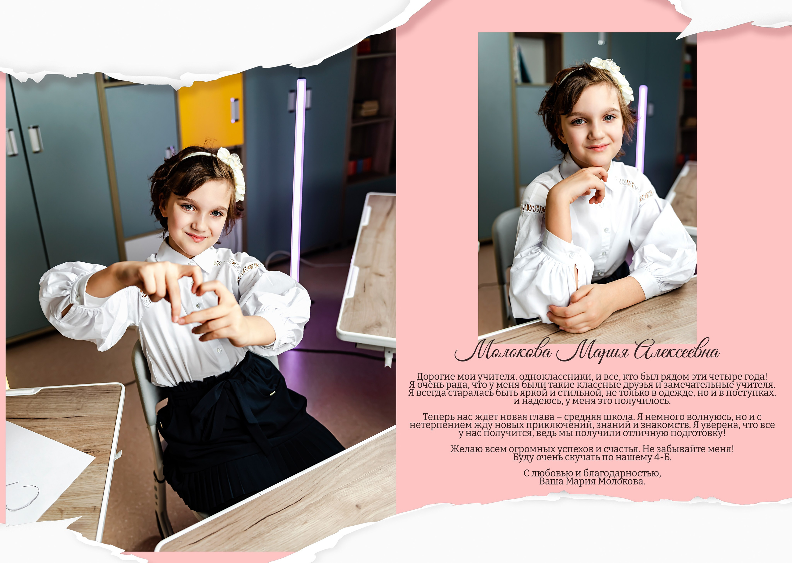 «Розовая и синяя бумага 2025». ALBUMIA