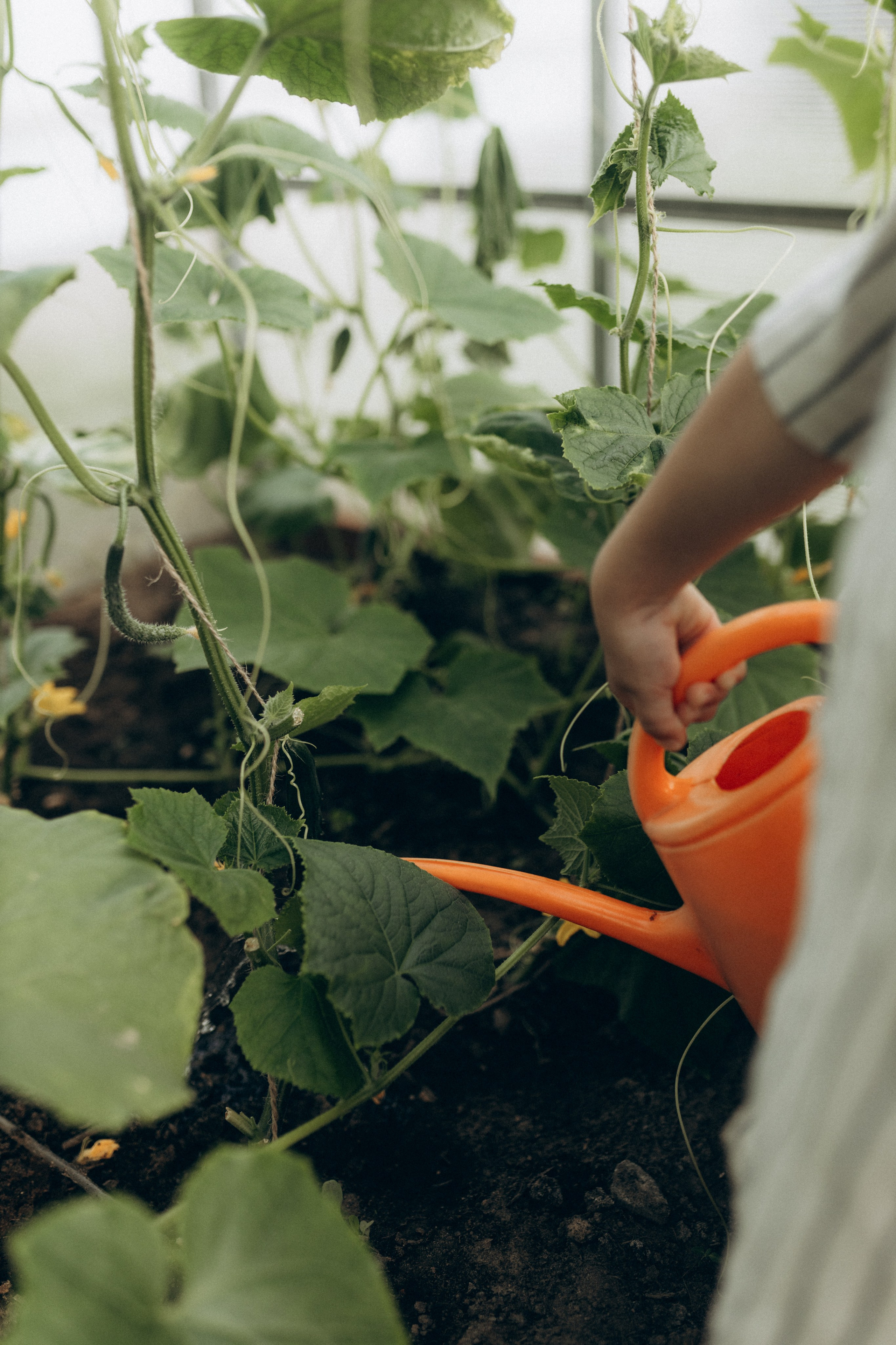 Артём, Полина, Серёжа. Фотограф НОГИНСК, Москва, Анастасия Белая