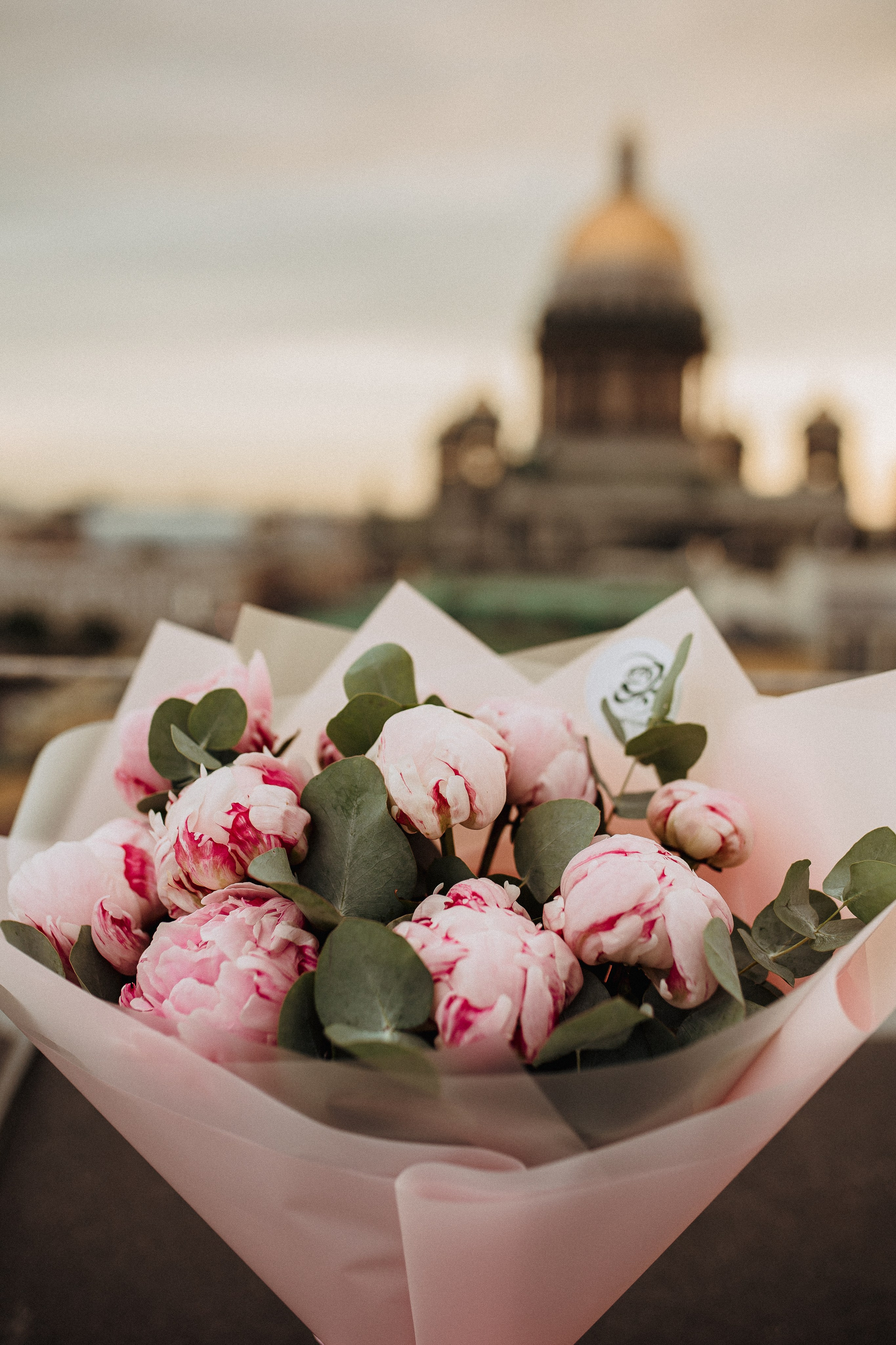 Нина & Дмитрий. Семейный и Свадебный фотограф в Санкт-Петербурге Плохая Екатерина