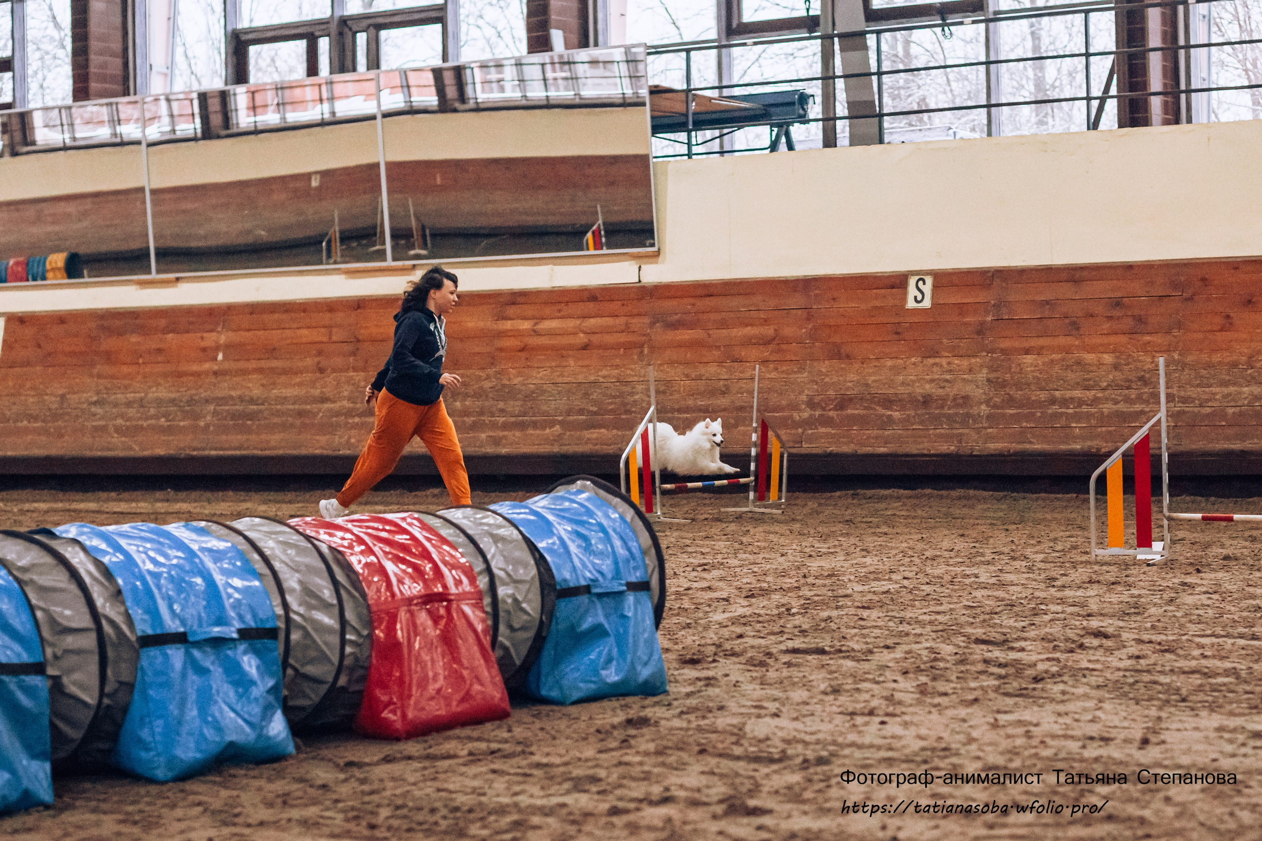 Соревнования по Аджилити 25.02.2024. Фотограф-анималист Татьяна Степанова