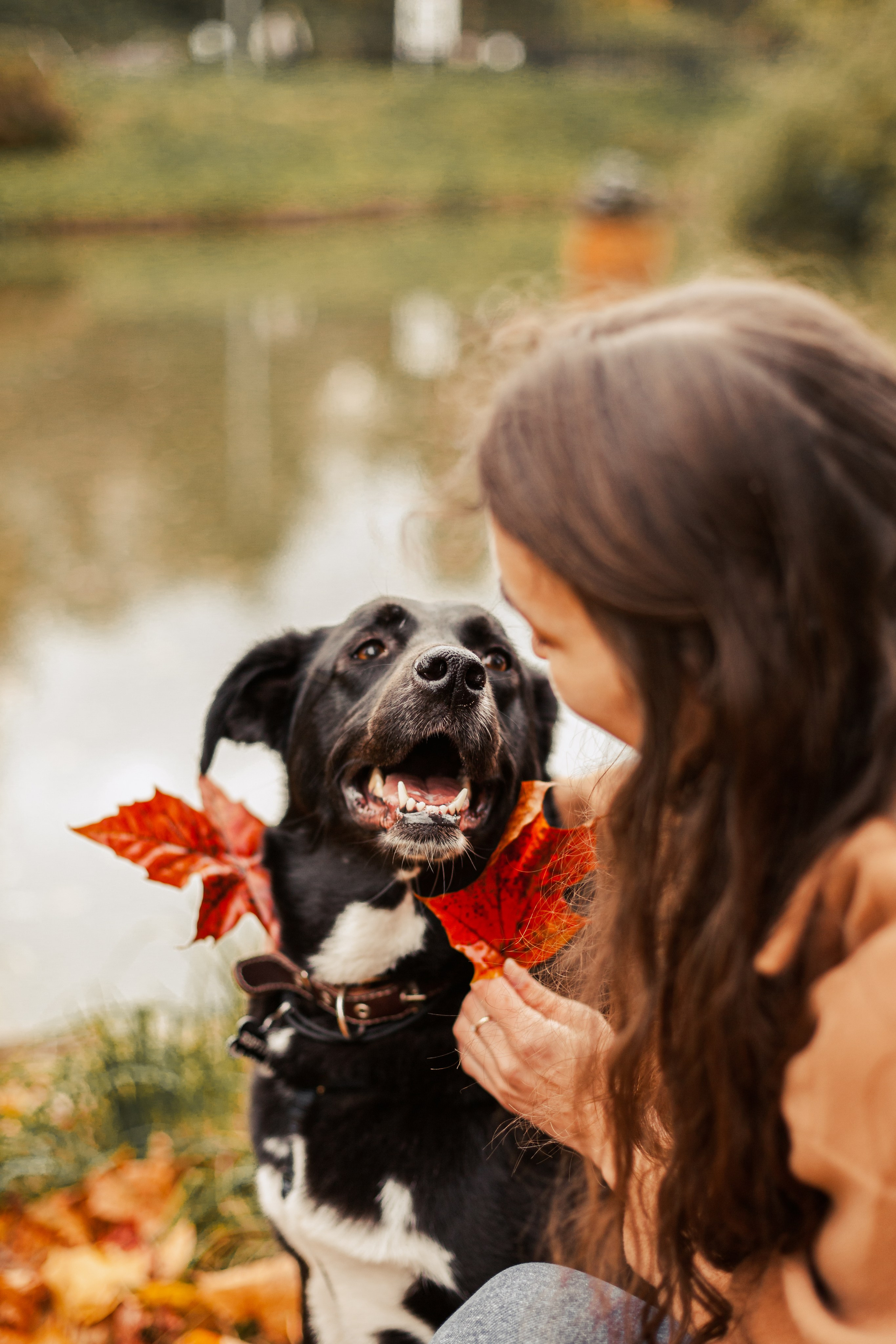 Юля и Фортуна. Фотограф-анималист Татьяна Степанова