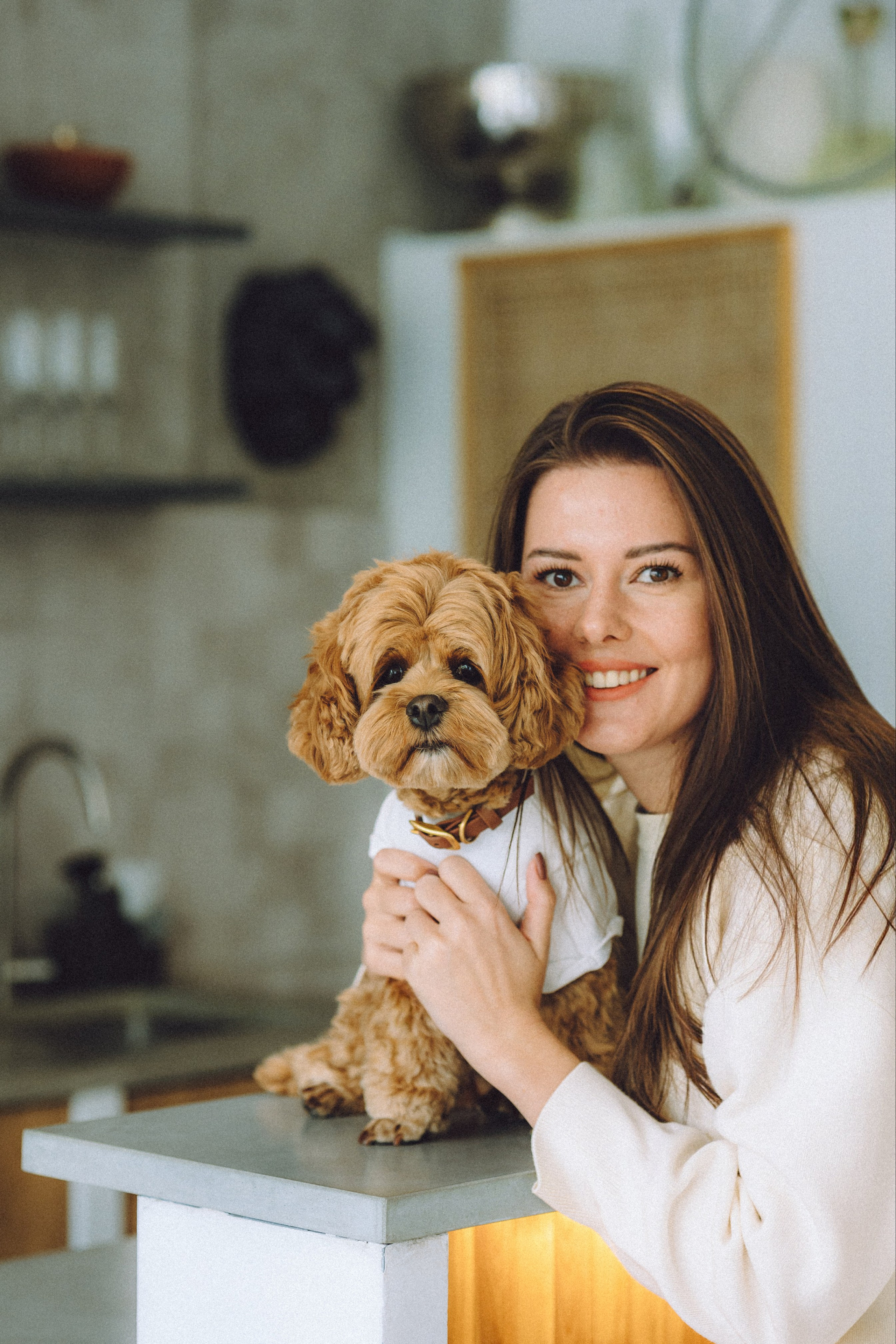 День Рождения пуделя Глаши