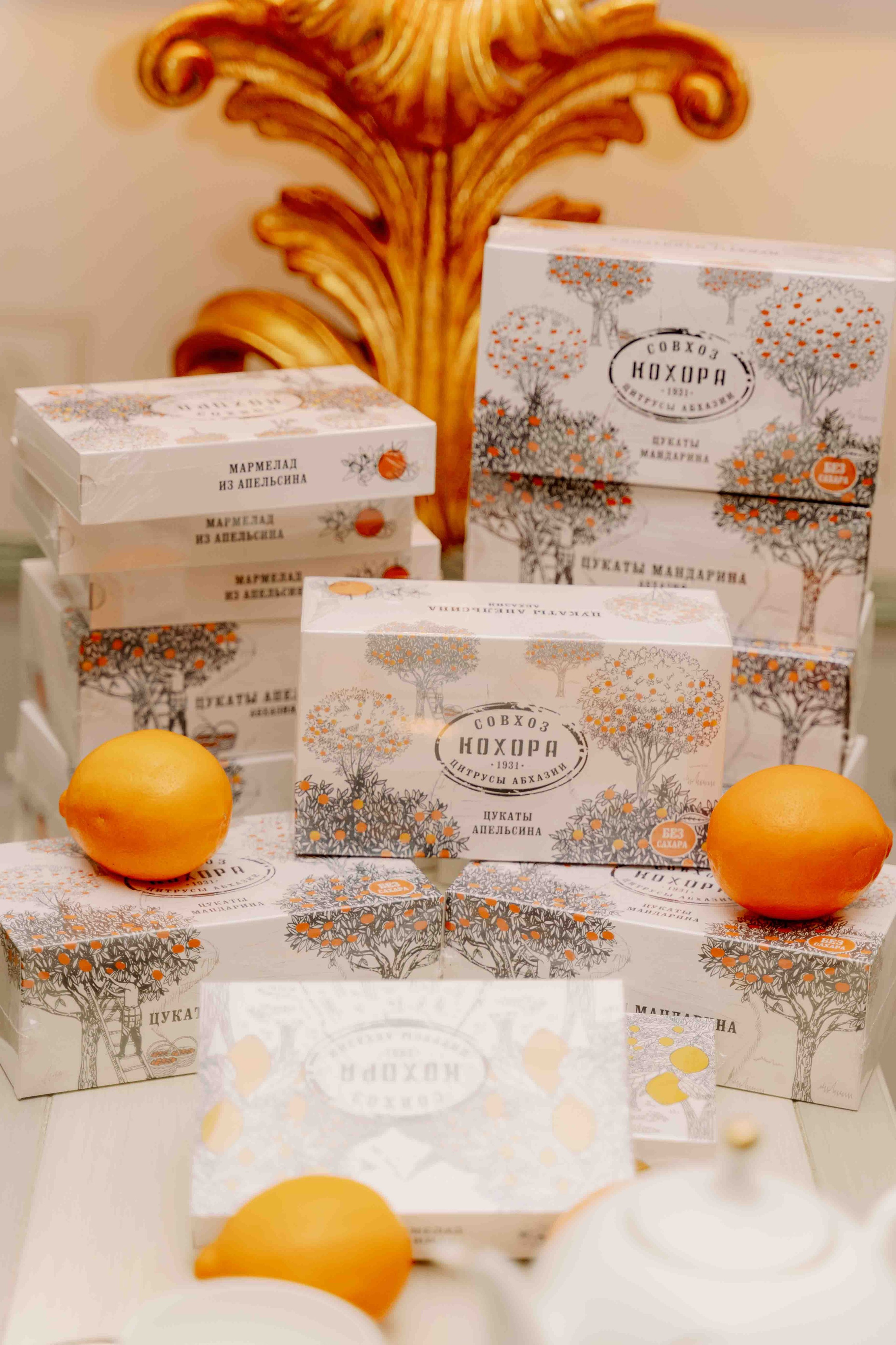 Изящная лекция в клинике в центре Москвы. Фотограф и видеограф в Москве и Абу Даби Мария Кулагина