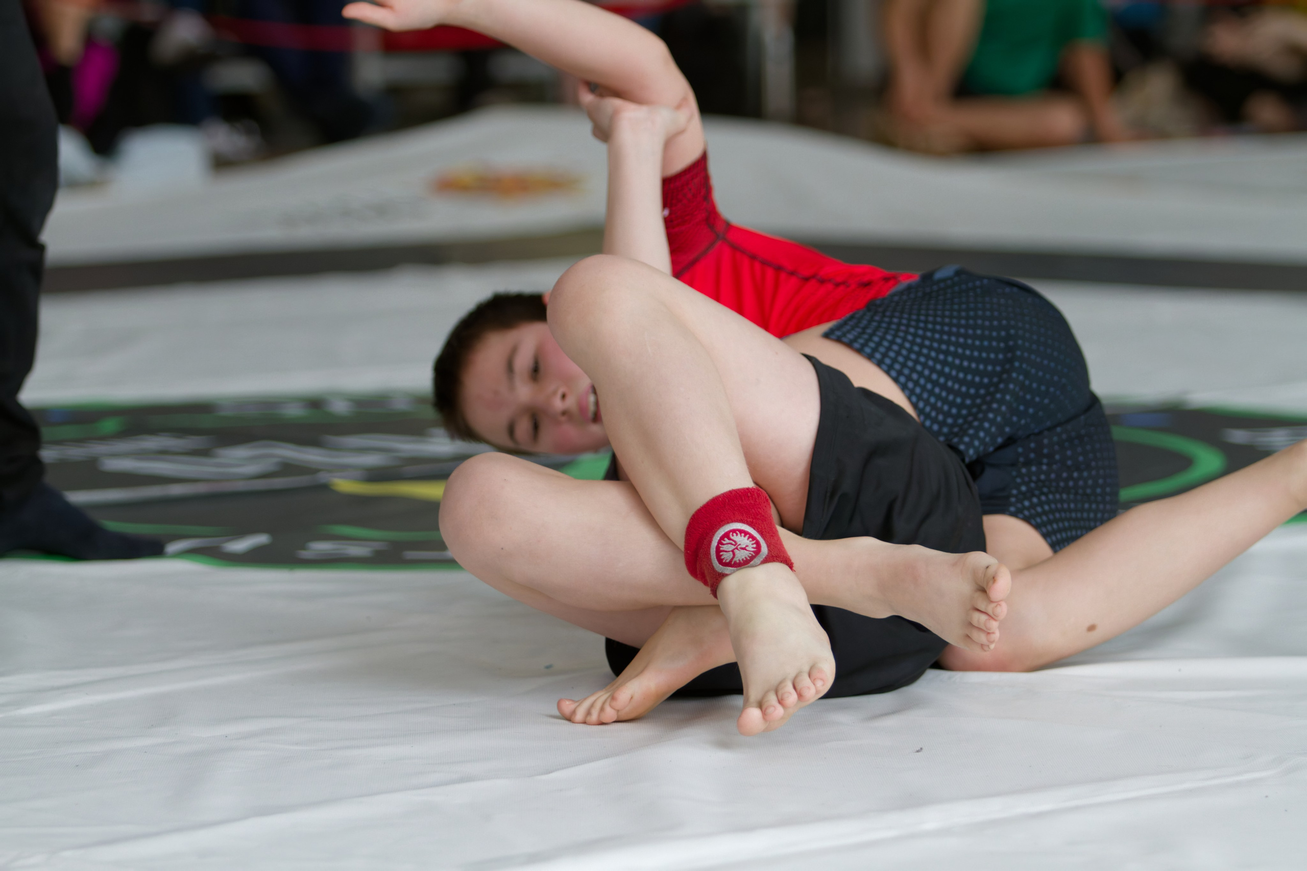 Борьба. Джиу-джитсу 26.04.2025. Репортажный и спортивный фотограф в г. Пермь Зильберг Павел