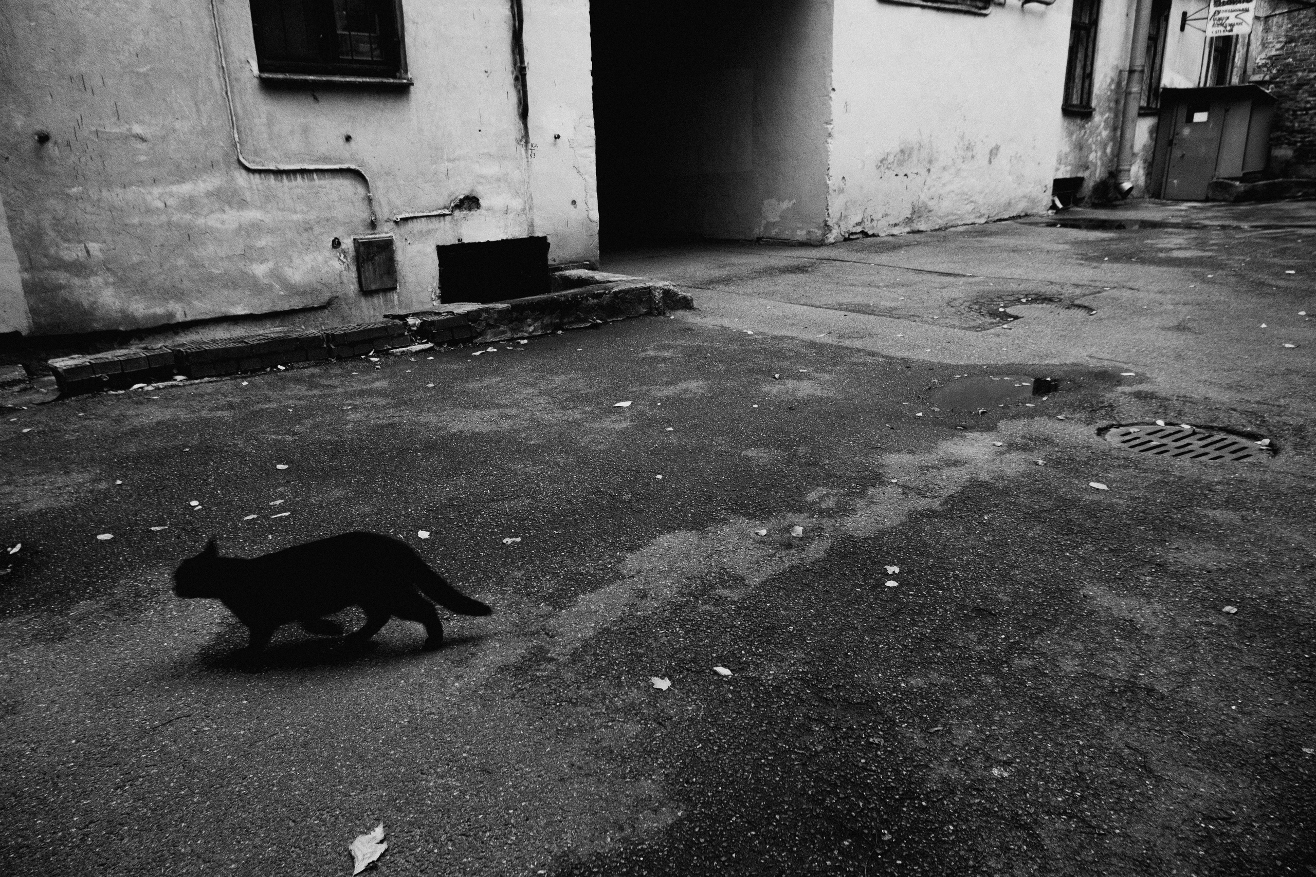 Андрей Корепов. Фотограф в Санкт-Петербурге