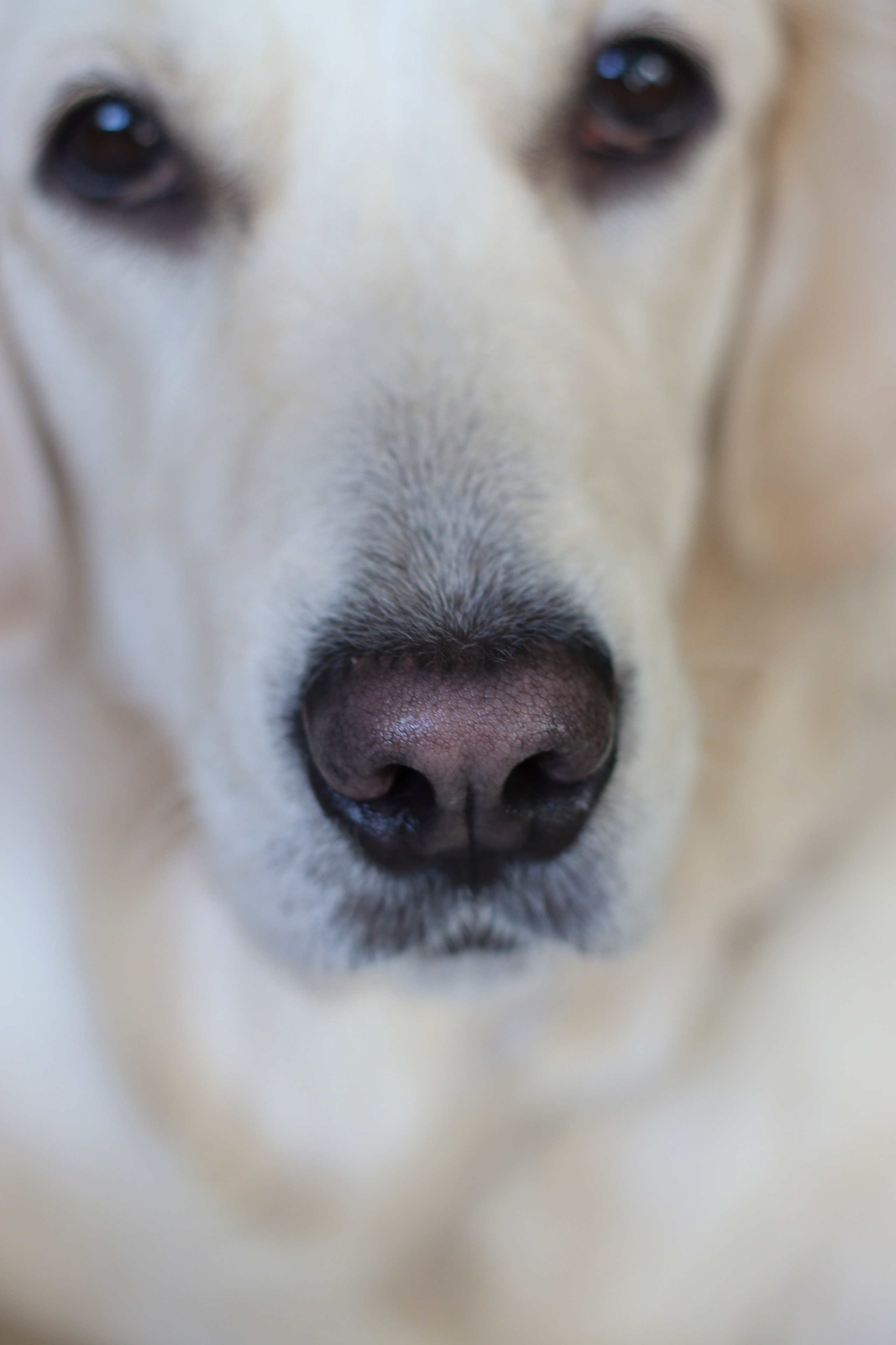 Индивидуальная съёмка. Семейный и детский фотограф в Туле