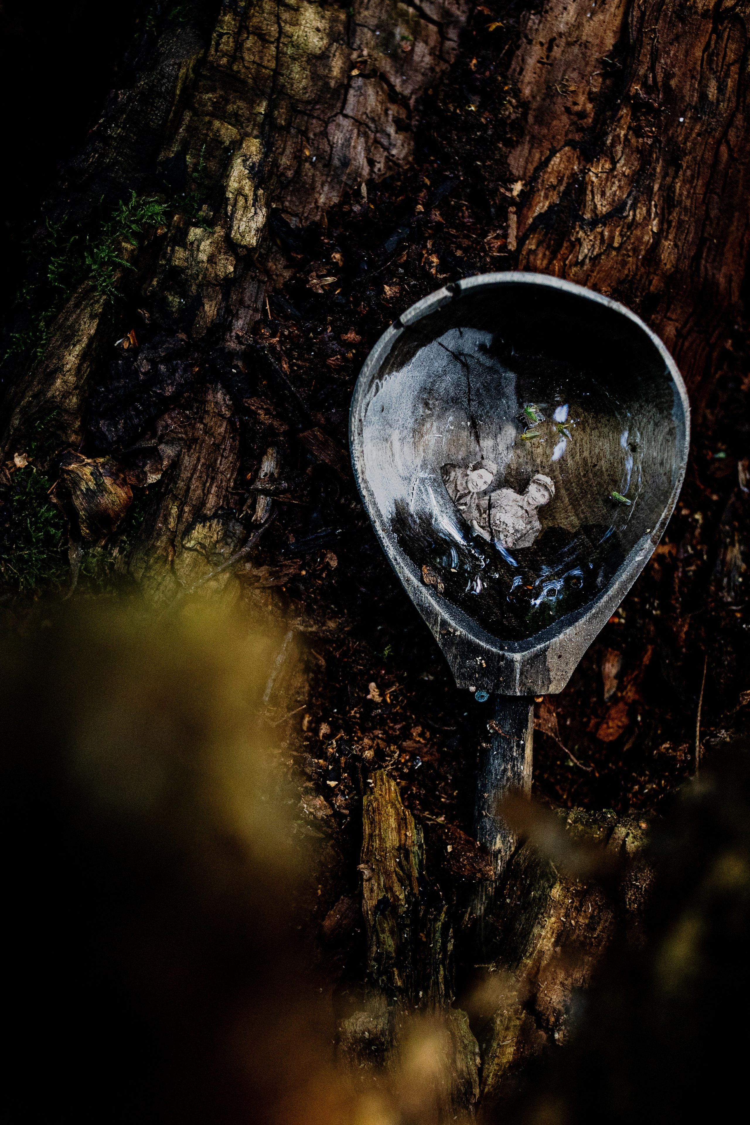 The Life of Wooden Objects / 2024