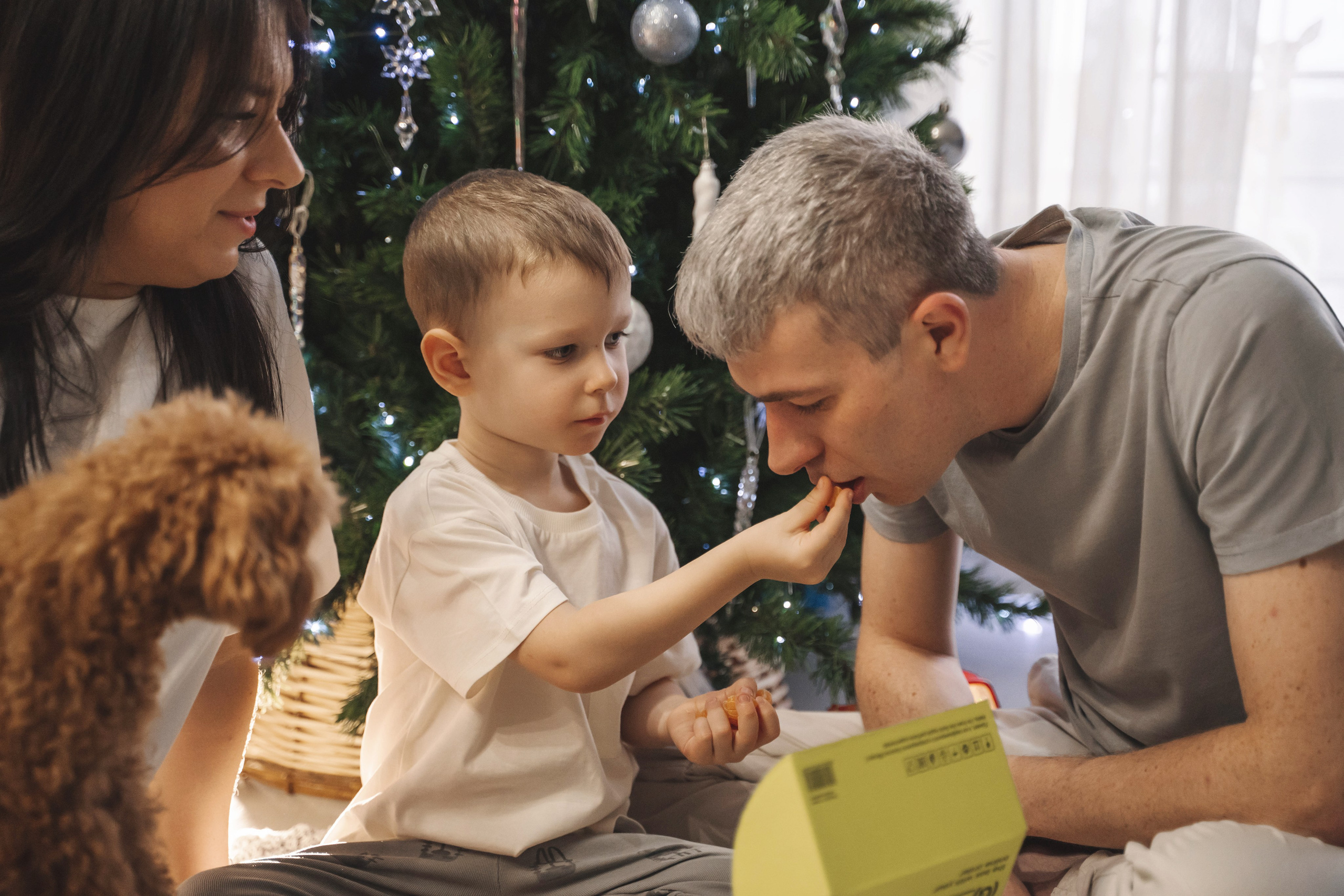 Предновогодний вечер. Главная