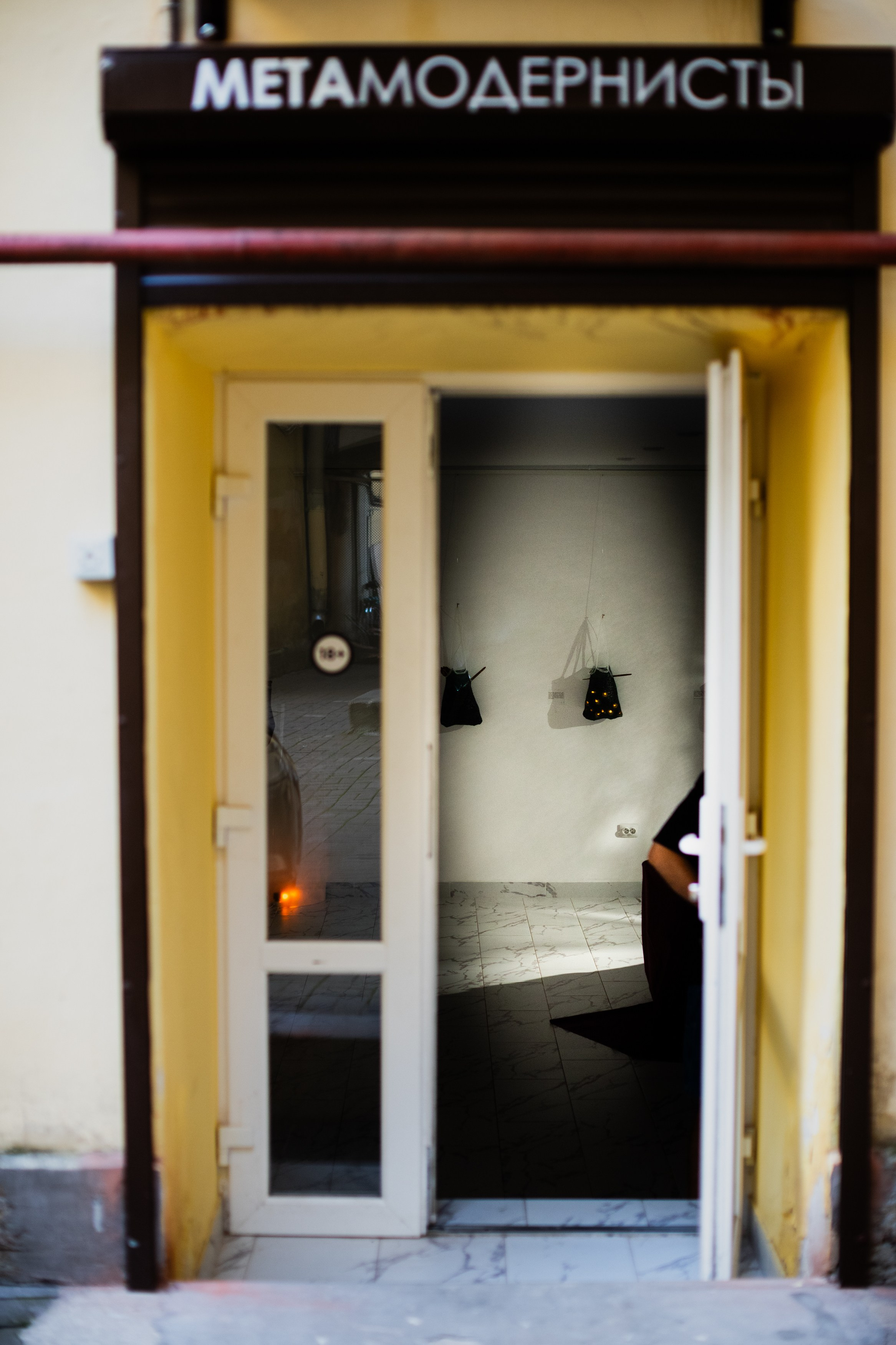 Выставка Ирины Иониной 2024. Фотограф Мария Немм