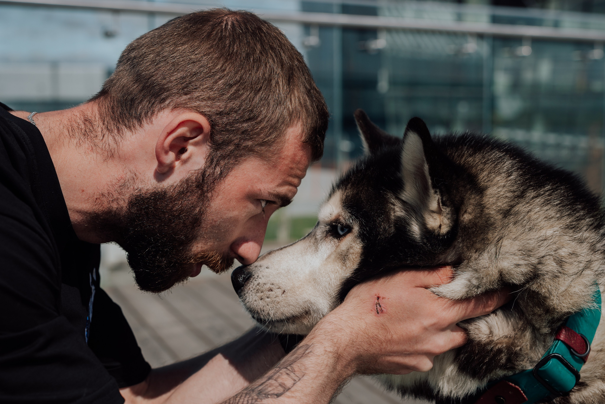 Фотодень с хаски. Фотограф в Санкт-Петербурге и Ленинградской области