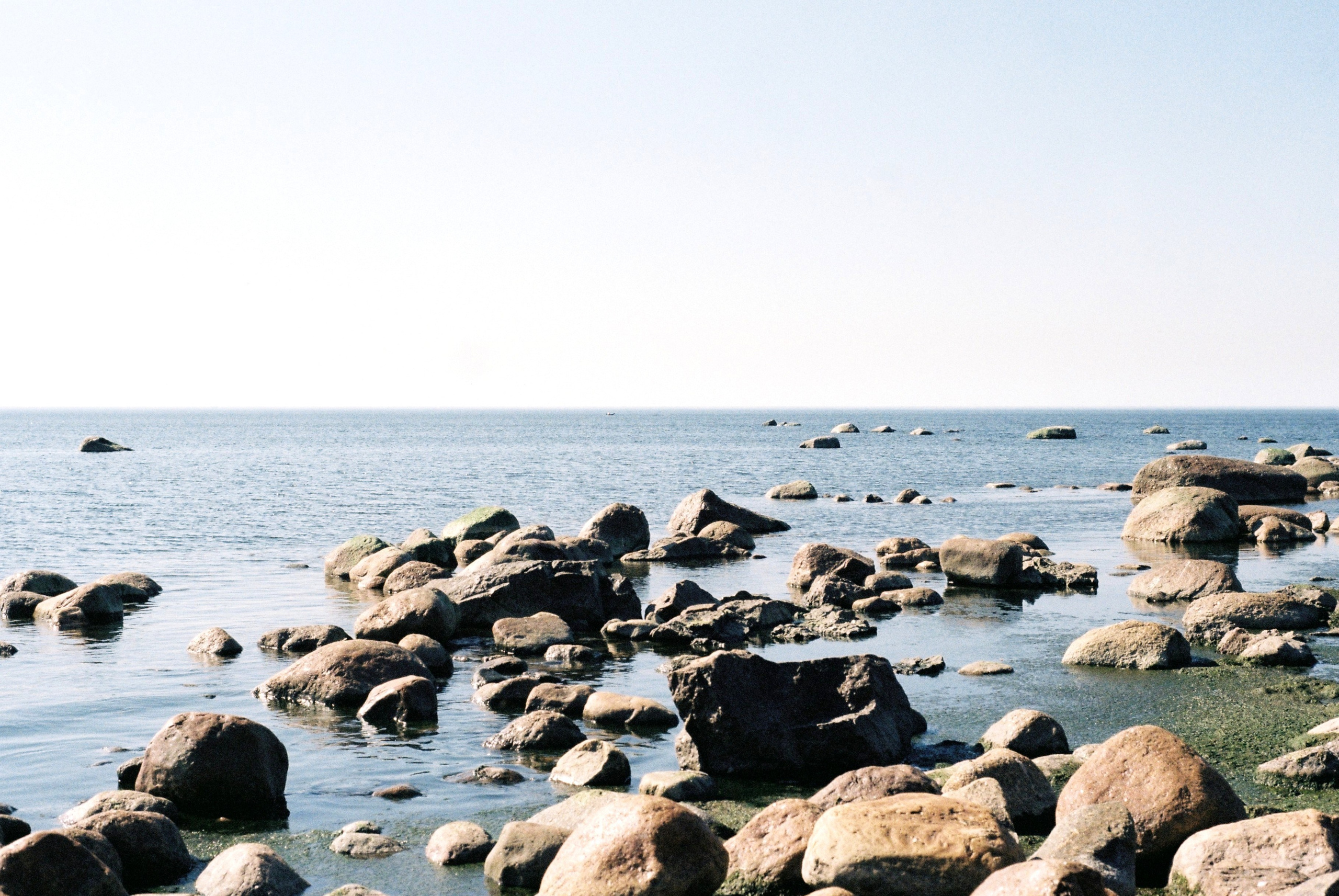 Film. Ruslan UI Dev Page