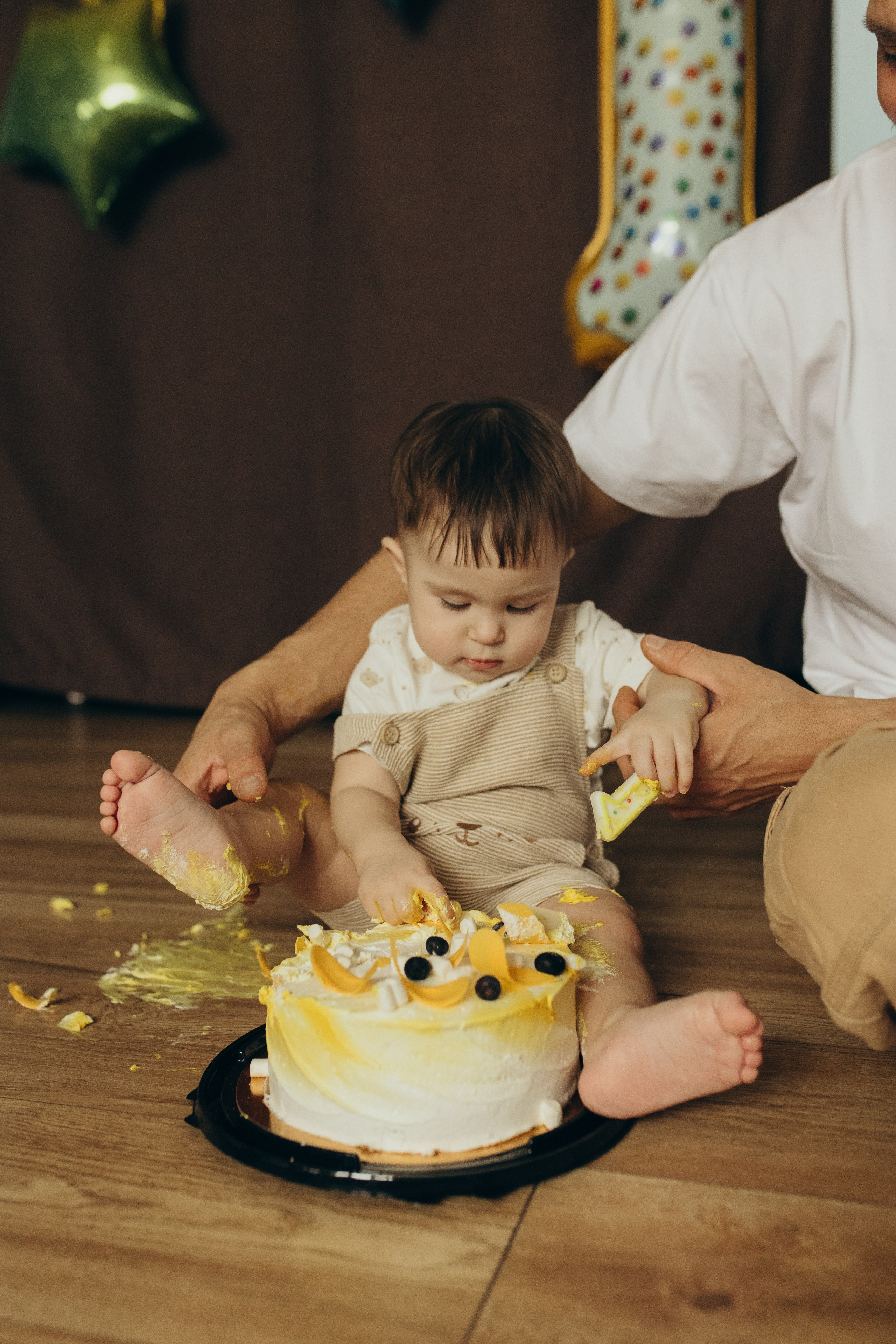 Домашняя история. Meryfotoidea