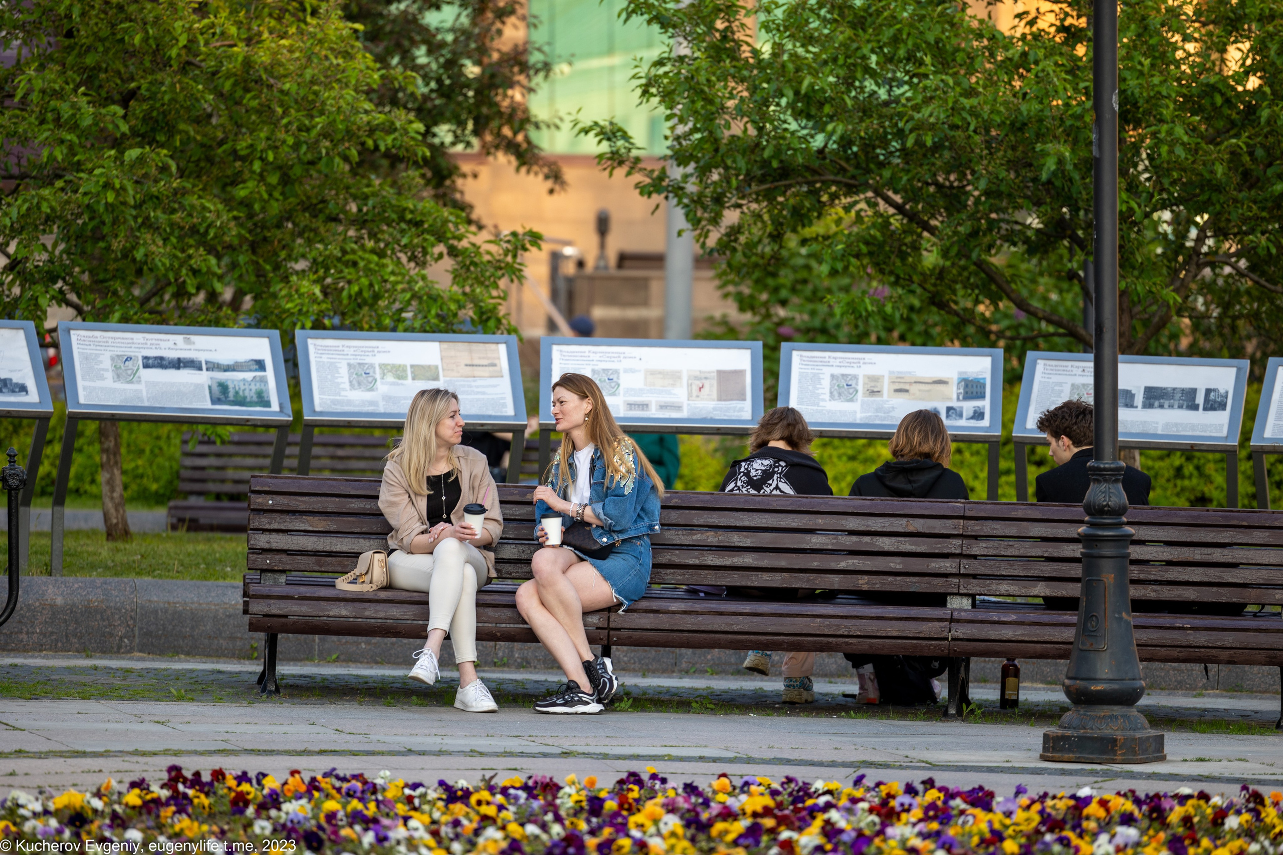 Скамейки. Кучеров Евгений. Фотограф