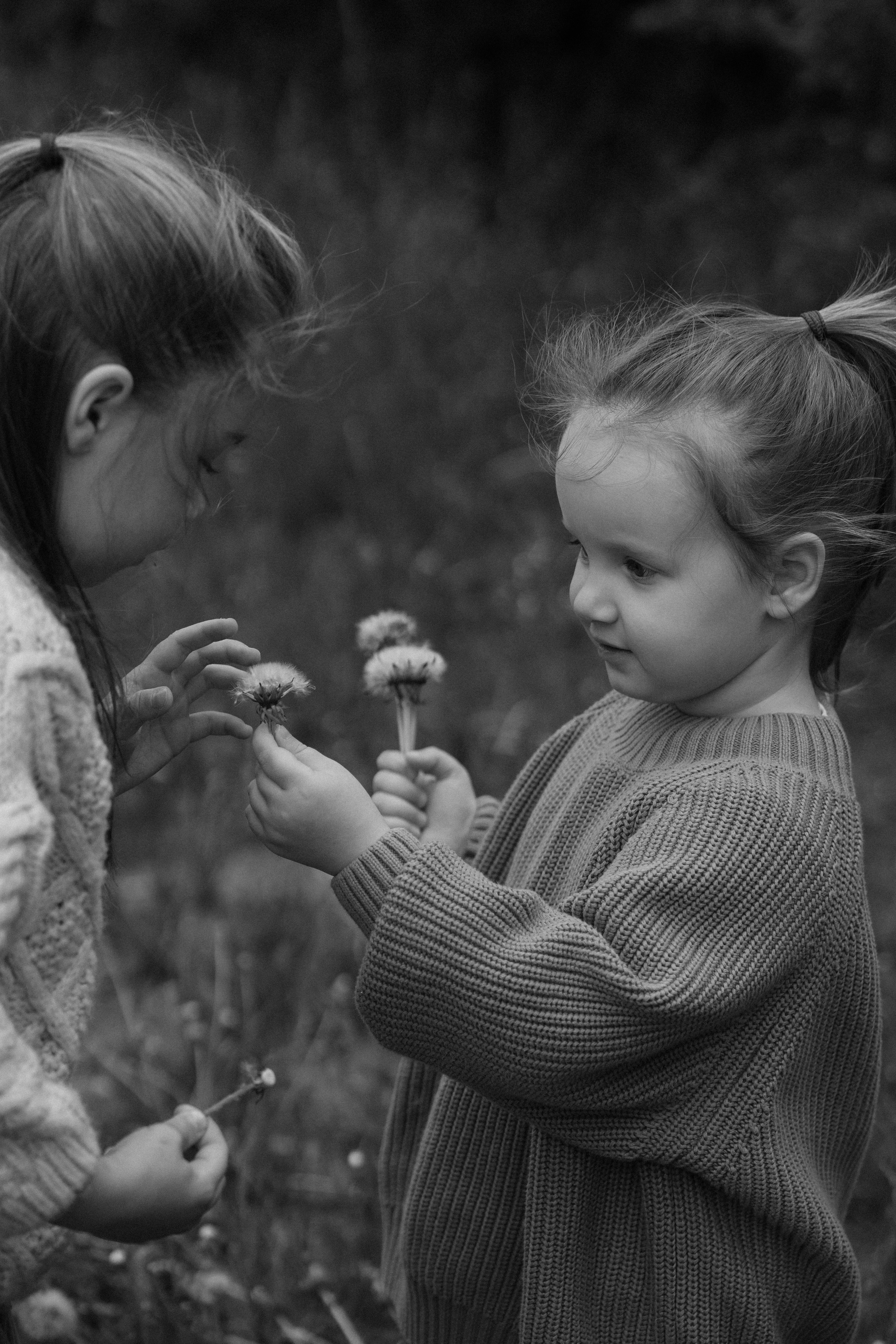 Света, Вася, Аня, Диана. Семейный фотограф Москва