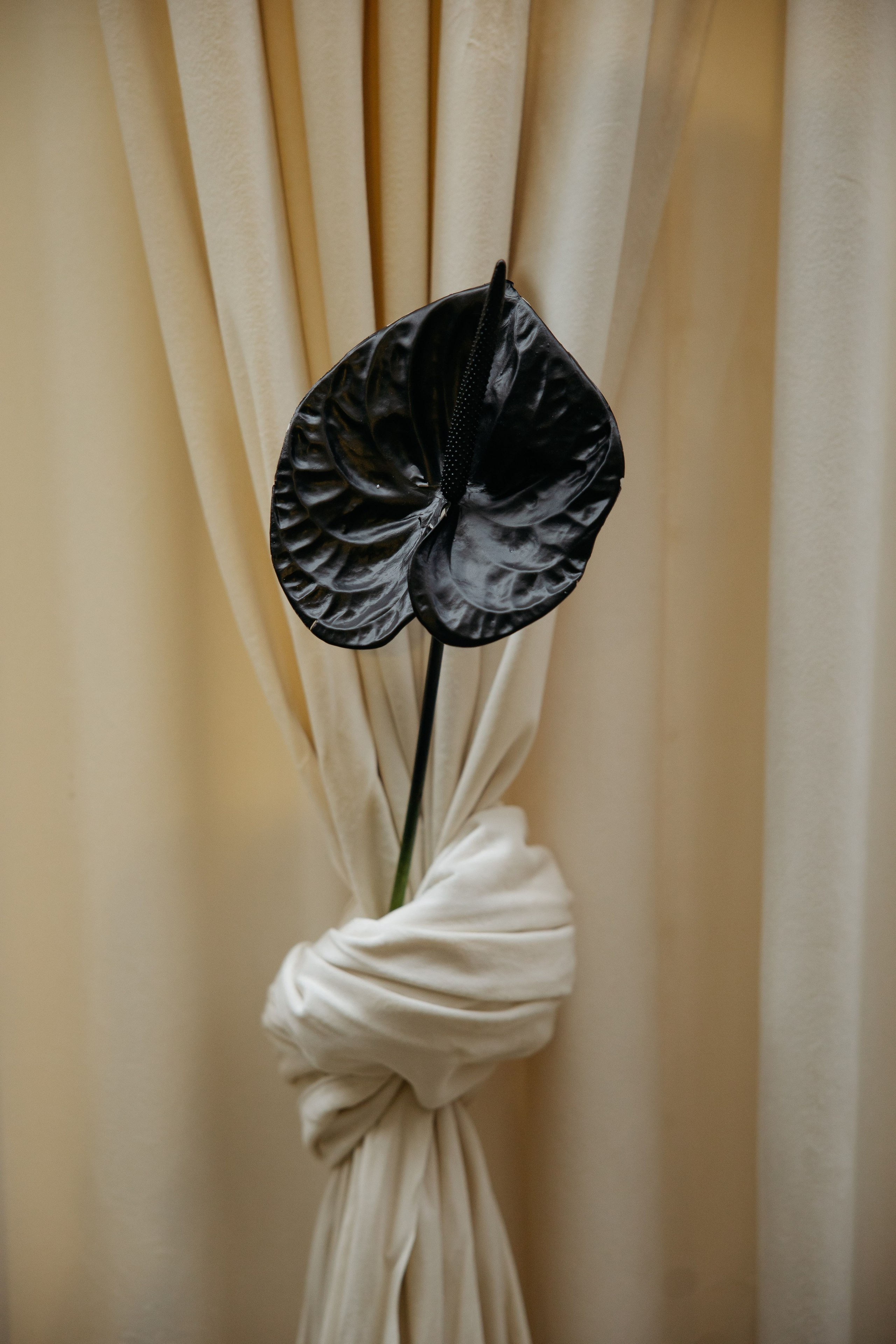 Свадебный фотограф Краснодар и Москва. Анна Еремчук