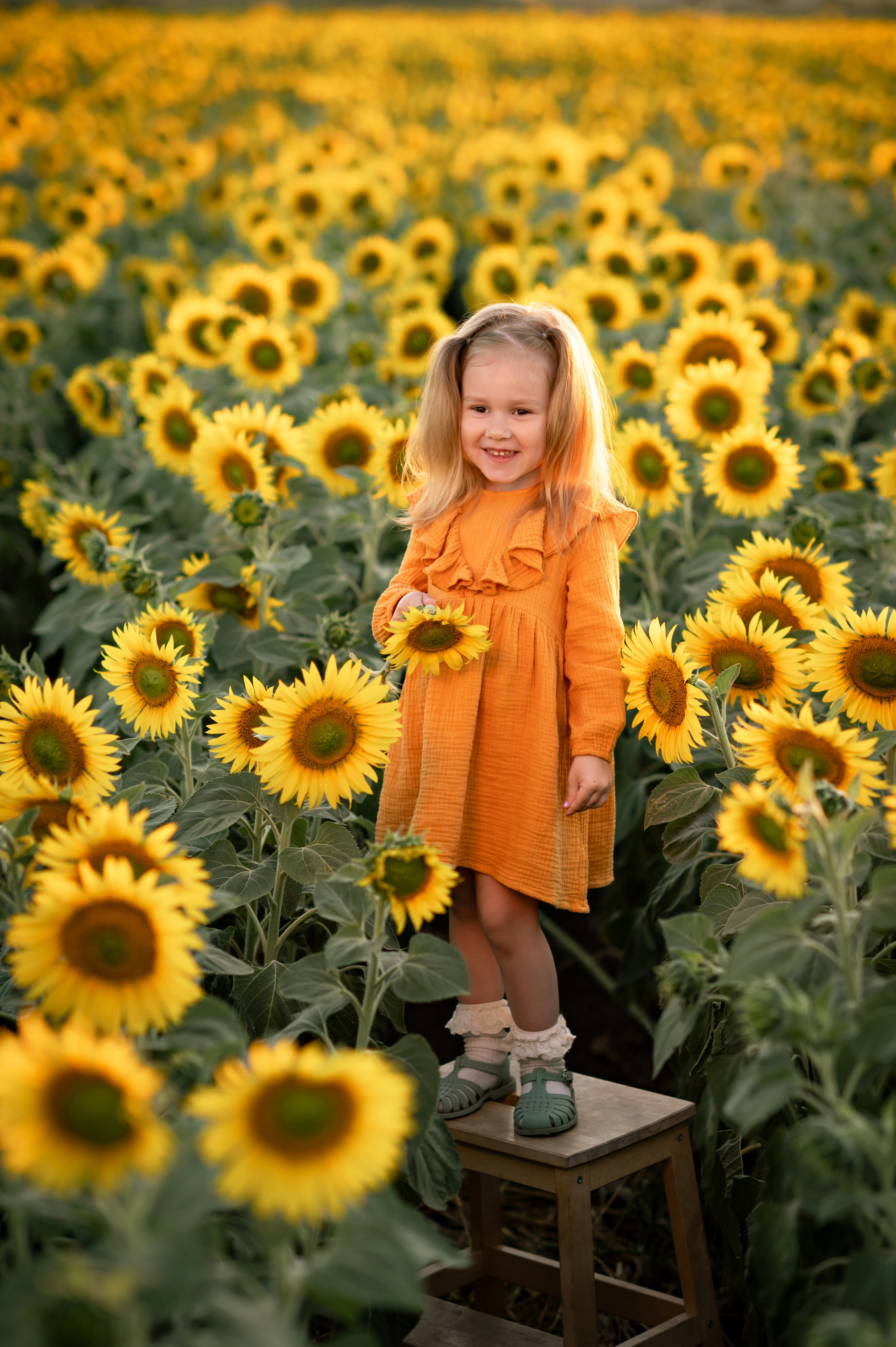 Подсолнухи. Семейный фотограф в Красноярске Надежда Кошелева